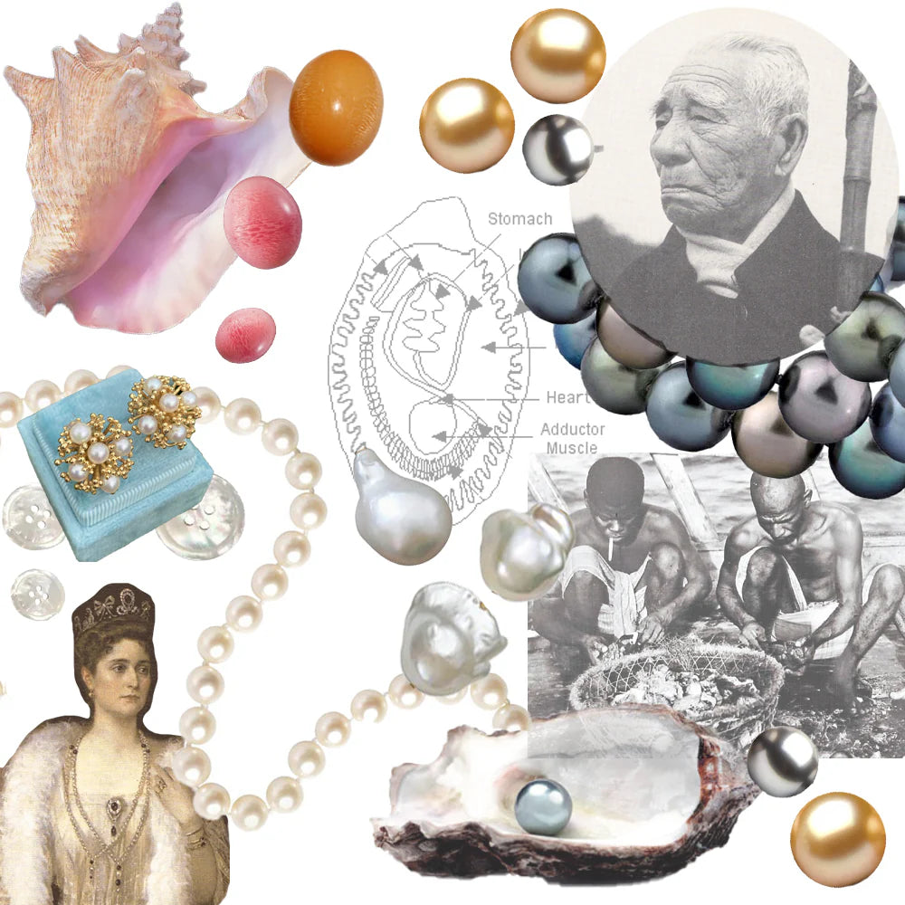 The World of Pearls