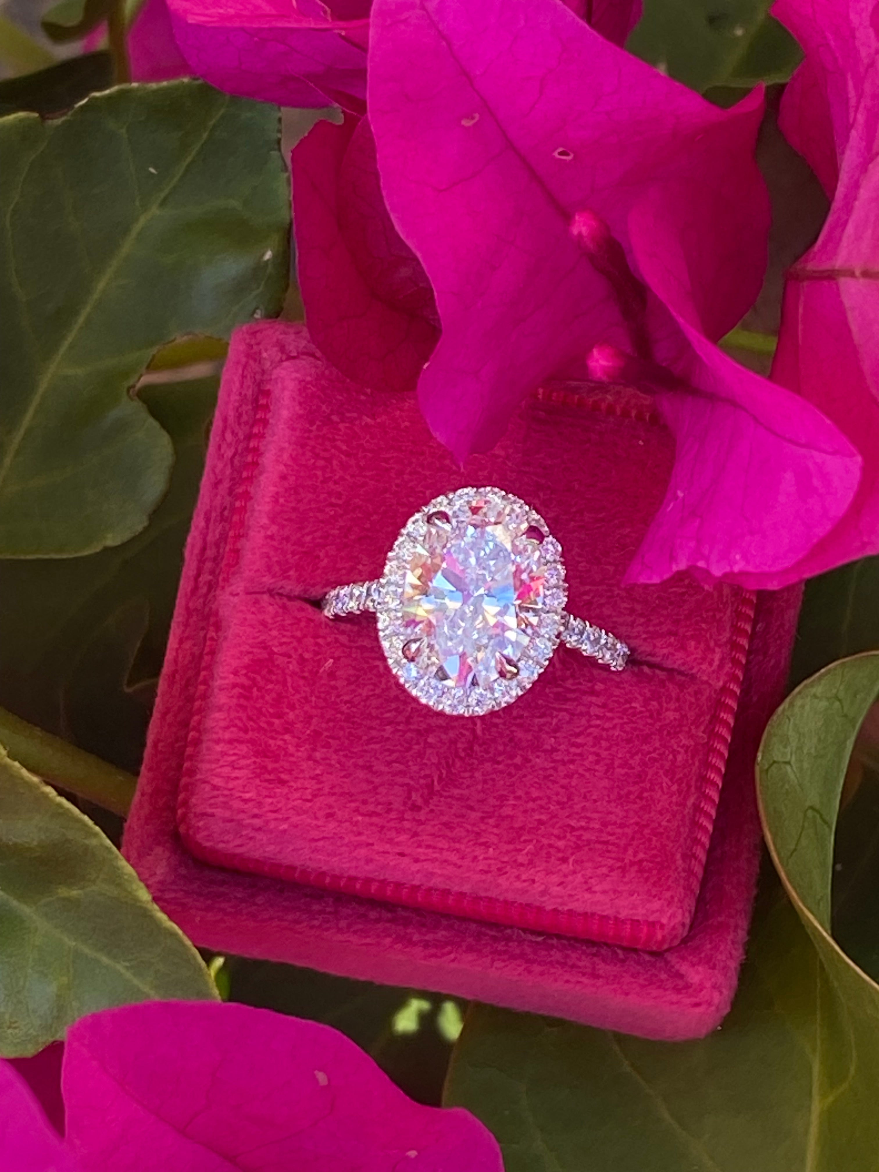 3.58 CTW Oval Cut Lab Diamond Halo Engagement Ring in Platinum