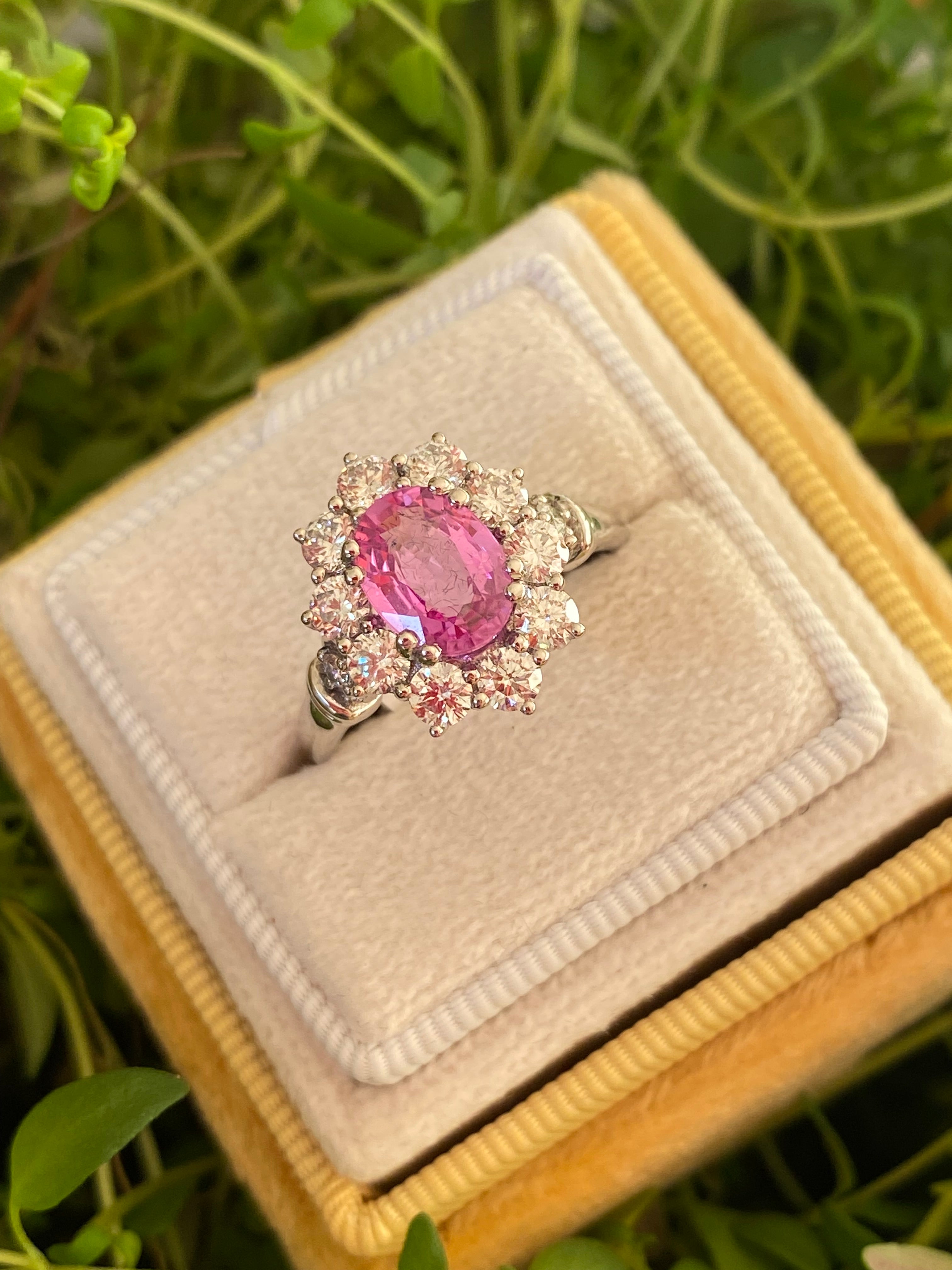 2.65 CTW Oval Cut Pink Sapphire and Natural Diamond Halo Ring in Platinum