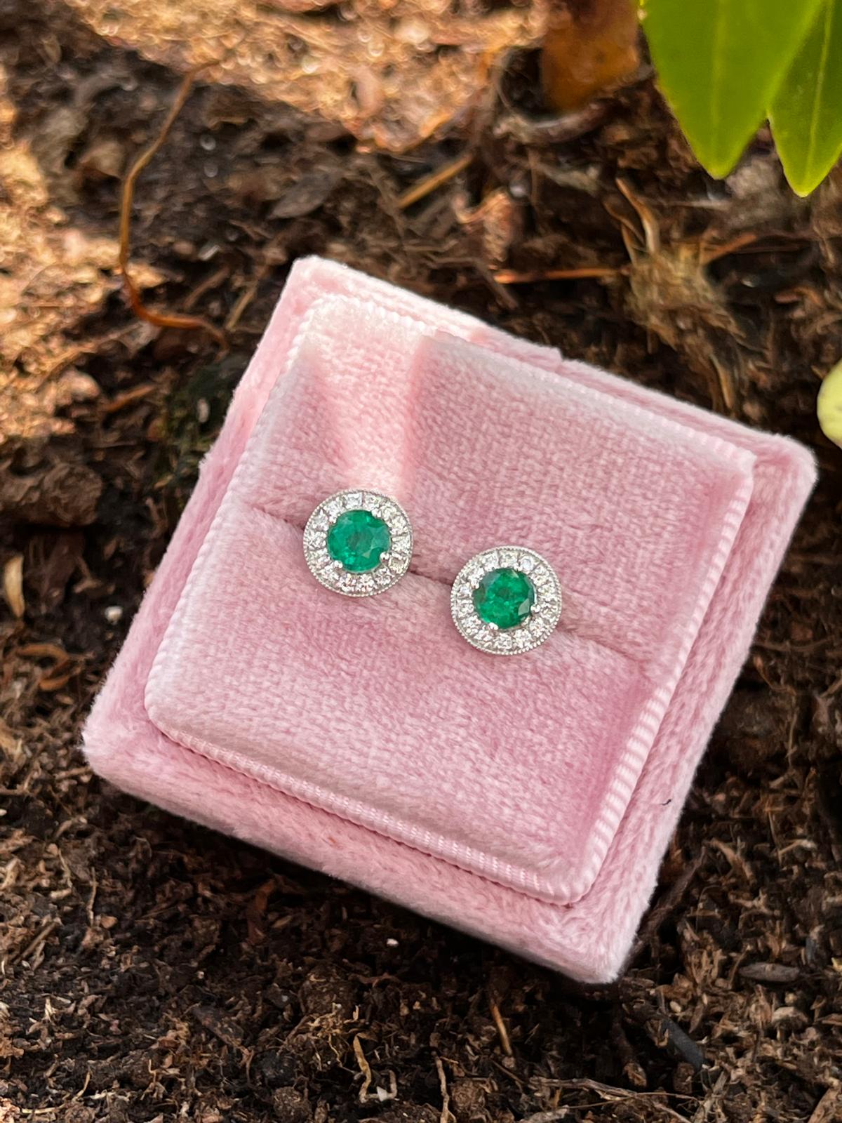 Emerald and Natural Diamond Halo Stud Earrings in 18ct White Gold