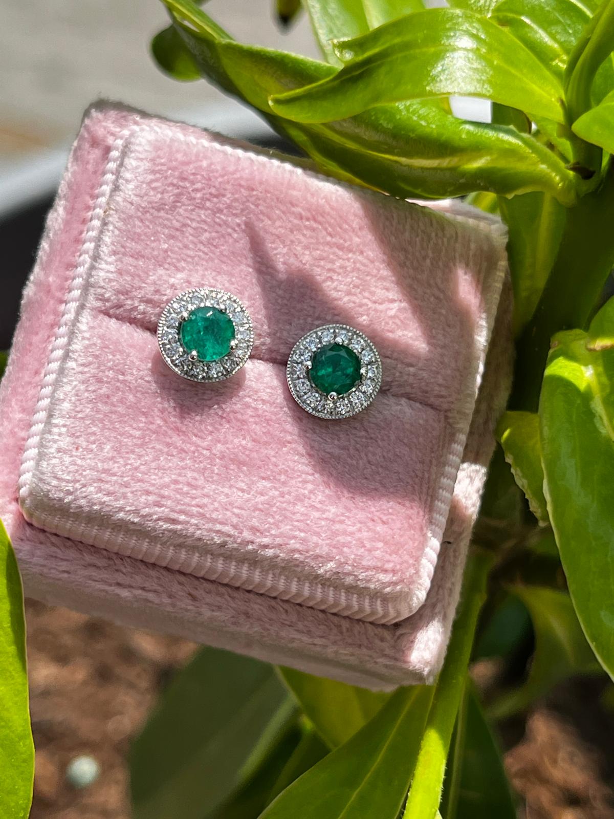 Emerald and Natural Diamond Halo Stud Earrings in 18ct White Gold