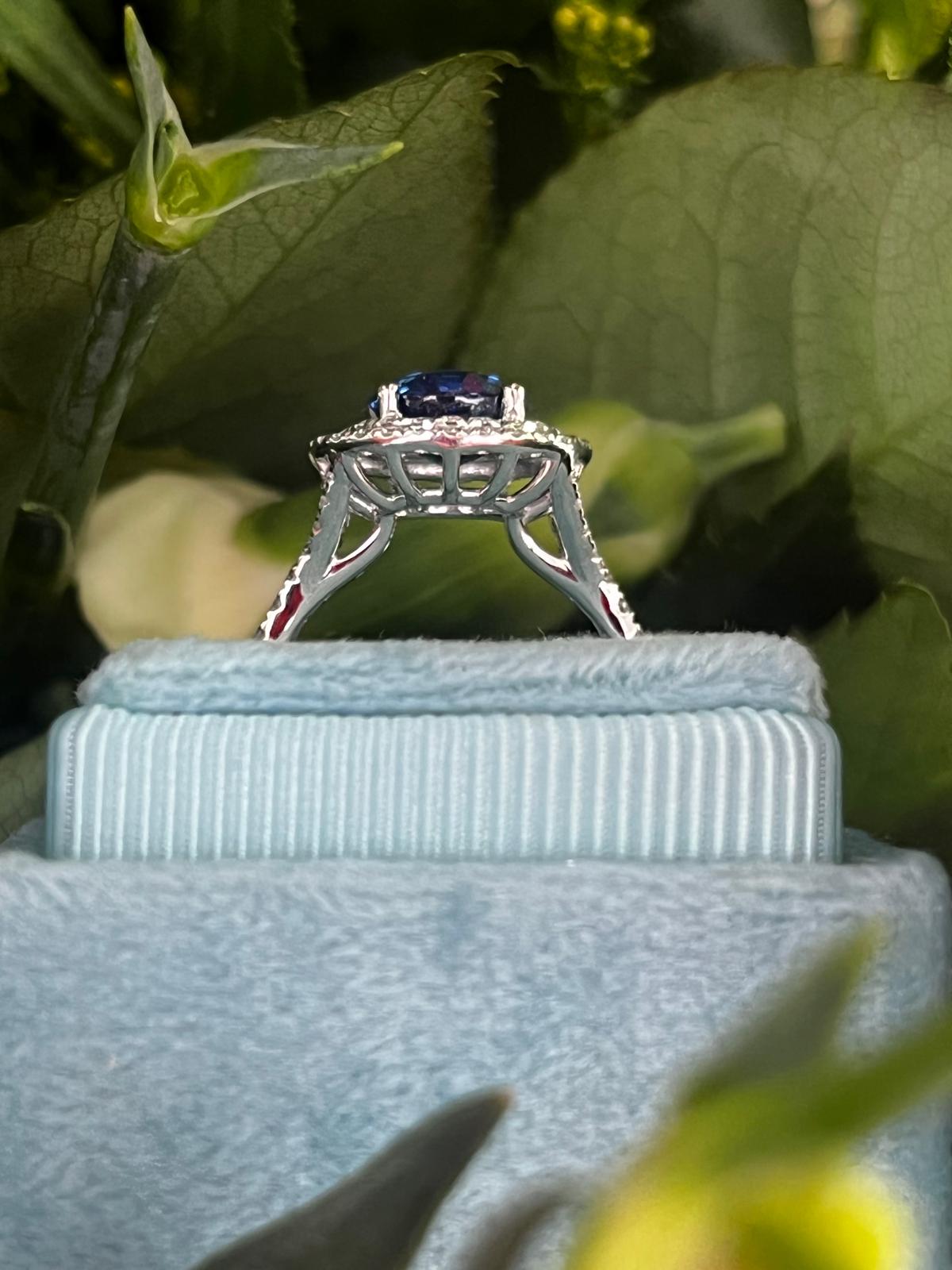 2.56 CTW Blue Ceylon Sapphire and Natural Diamond Double Halo Ring in Platinum
