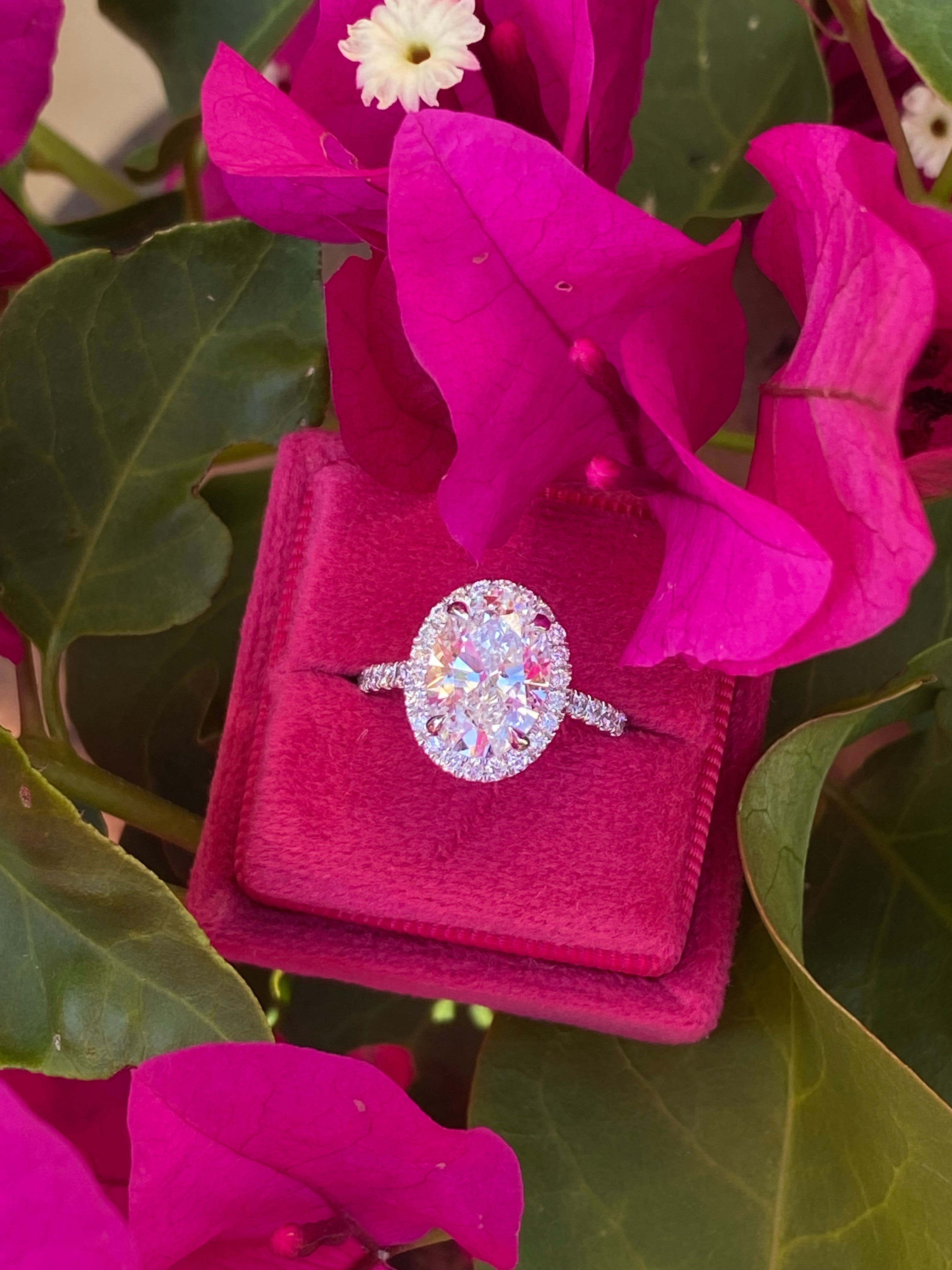 3.58 CTW Oval Cut Lab Diamond Halo Engagement Ring in Platinum