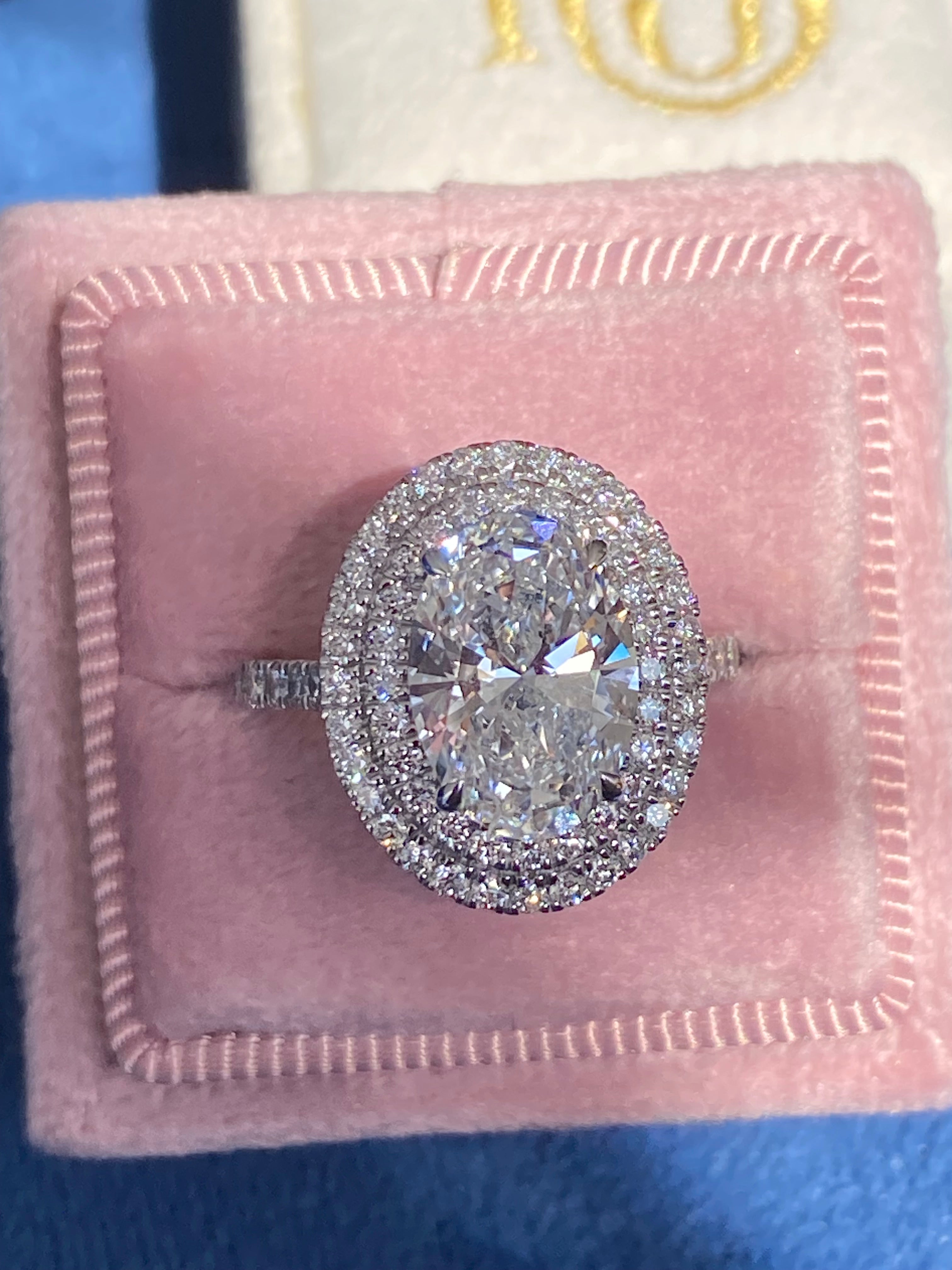 3.92 CTW Oval Cut Lab Diamond Double Halo Engagement Ring in Platinum