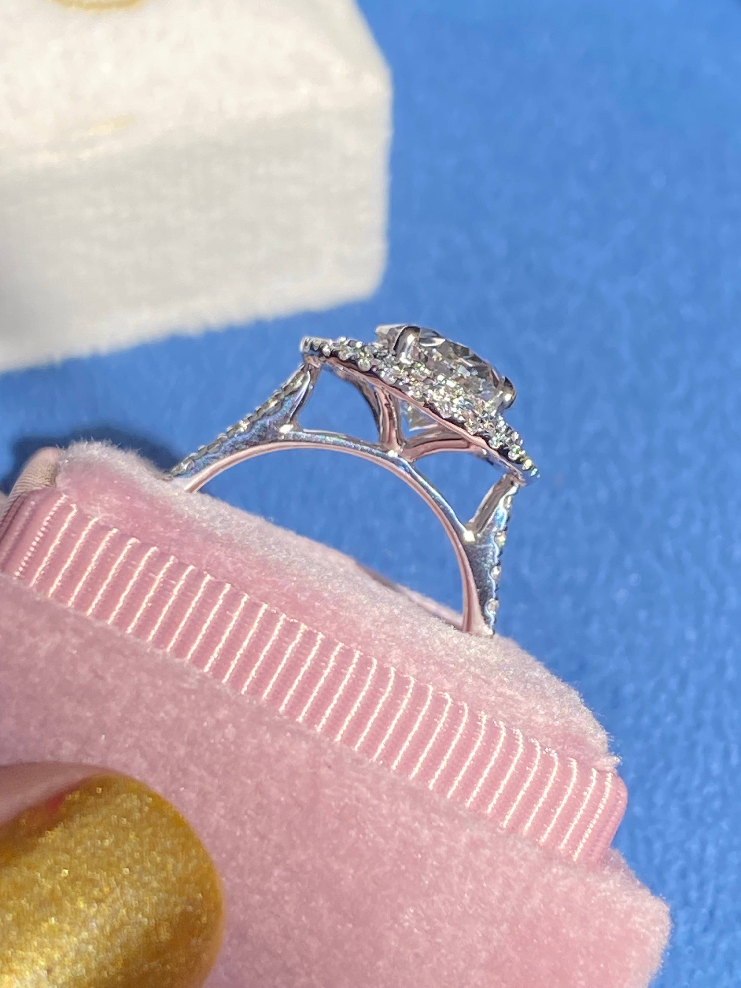 3.92 CTW Oval Cut Lab Diamond Double Halo Engagement Ring in Platinum