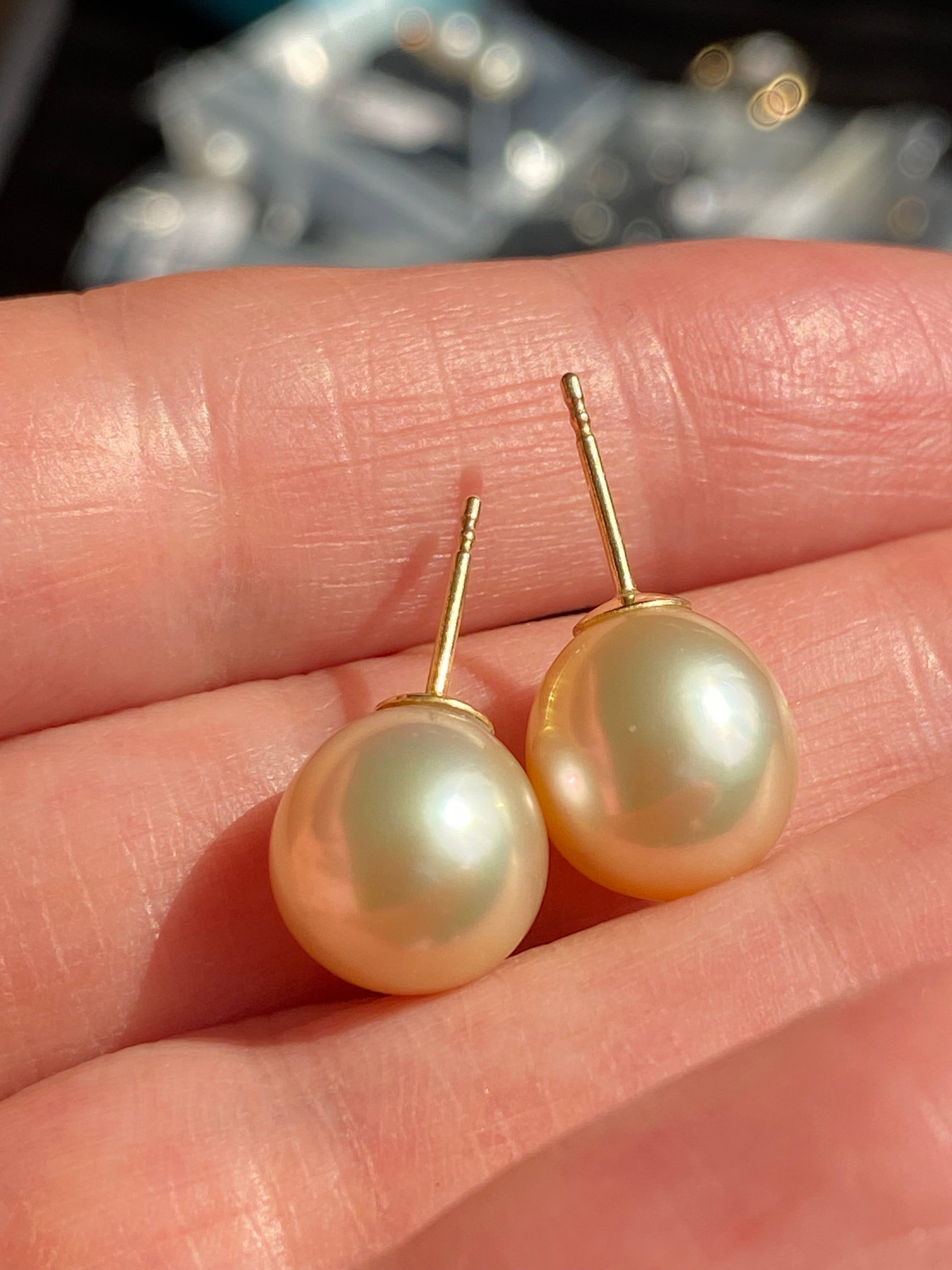 South Sea Pearl Stud Earrings in 18ct Yellow Gold