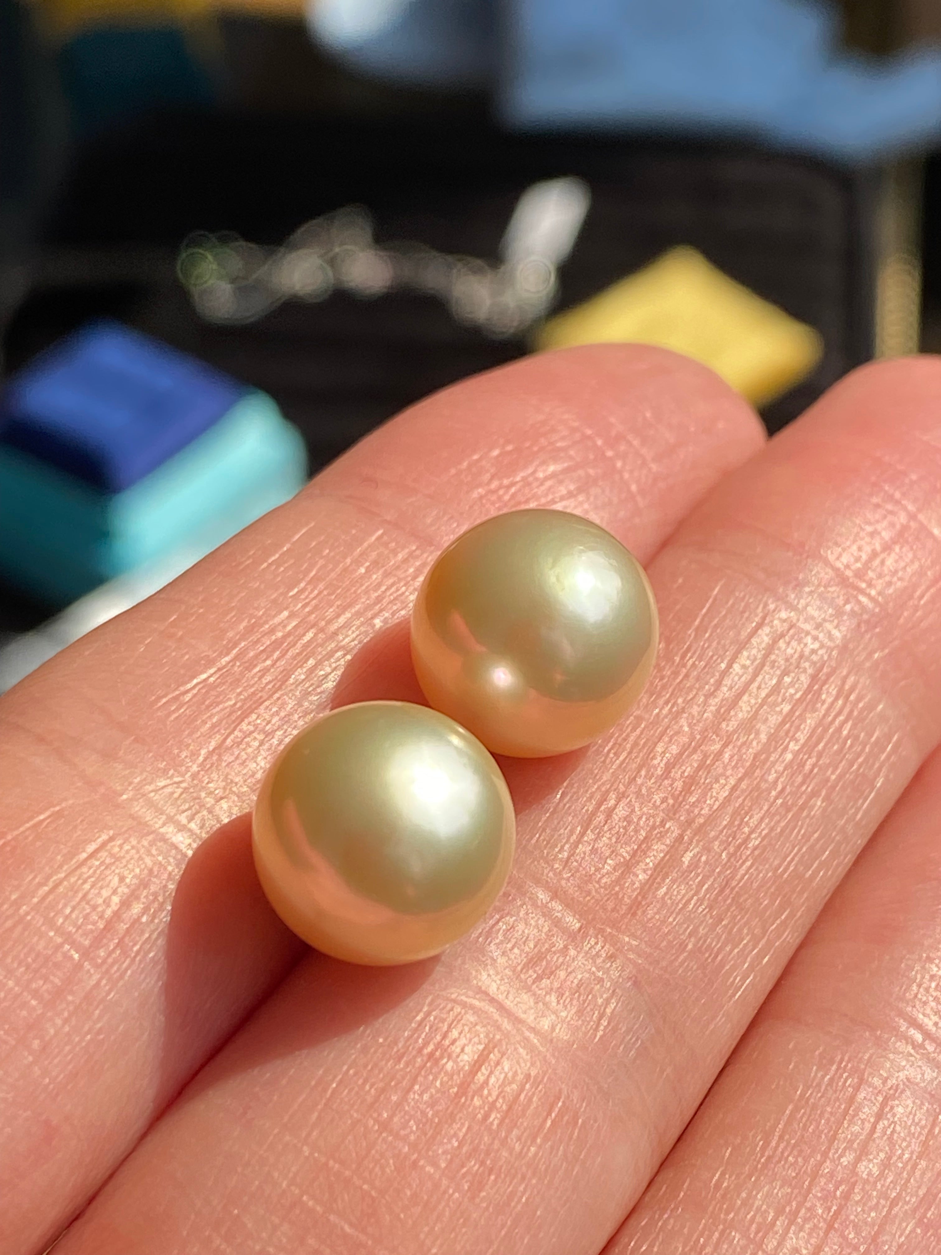 South Sea Pearl Stud Earrings in 18ct Yellow Gold