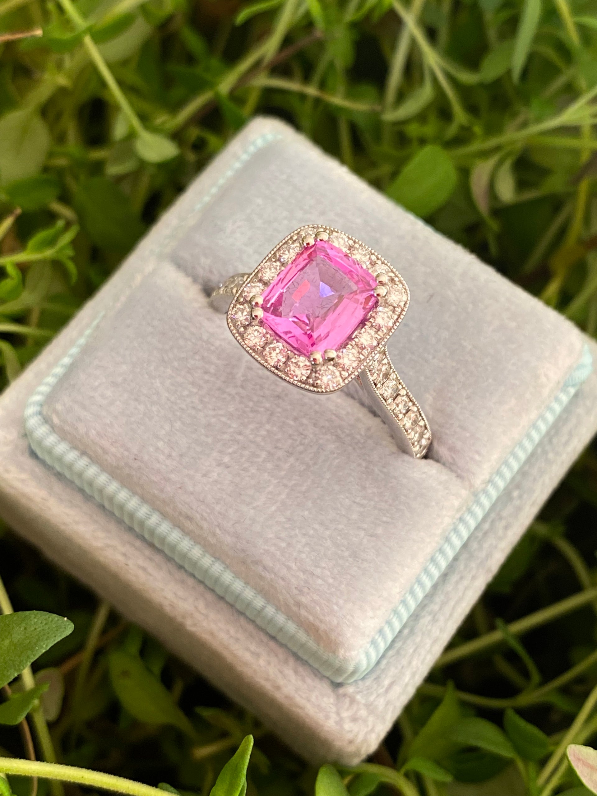 CTW Cushion Cut Pink Sapphire and Natural Diamond Halo Ring