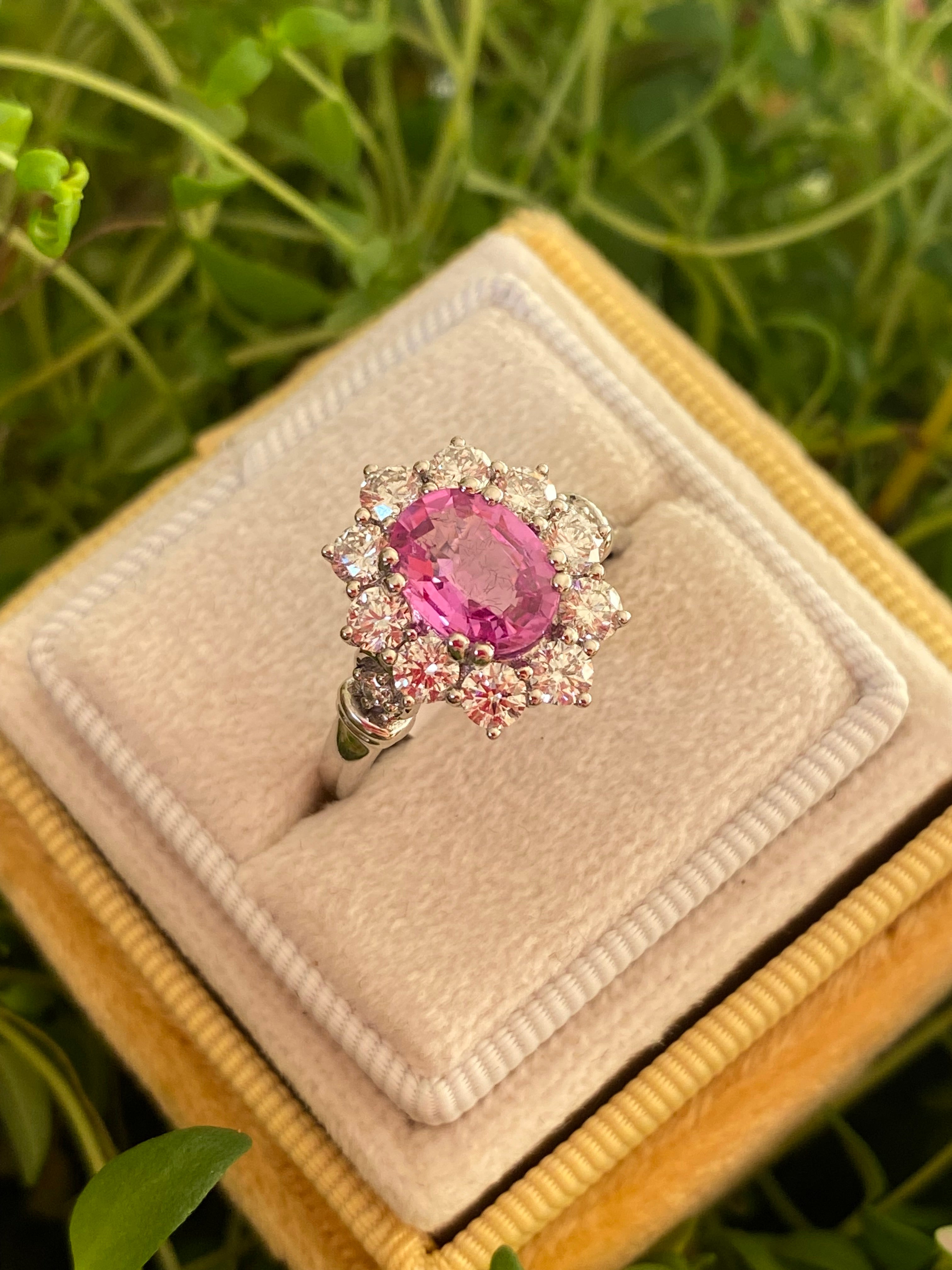 2.65 CTW Oval Cut Pink Sapphire and Natural Diamond Halo Ring in Platinum