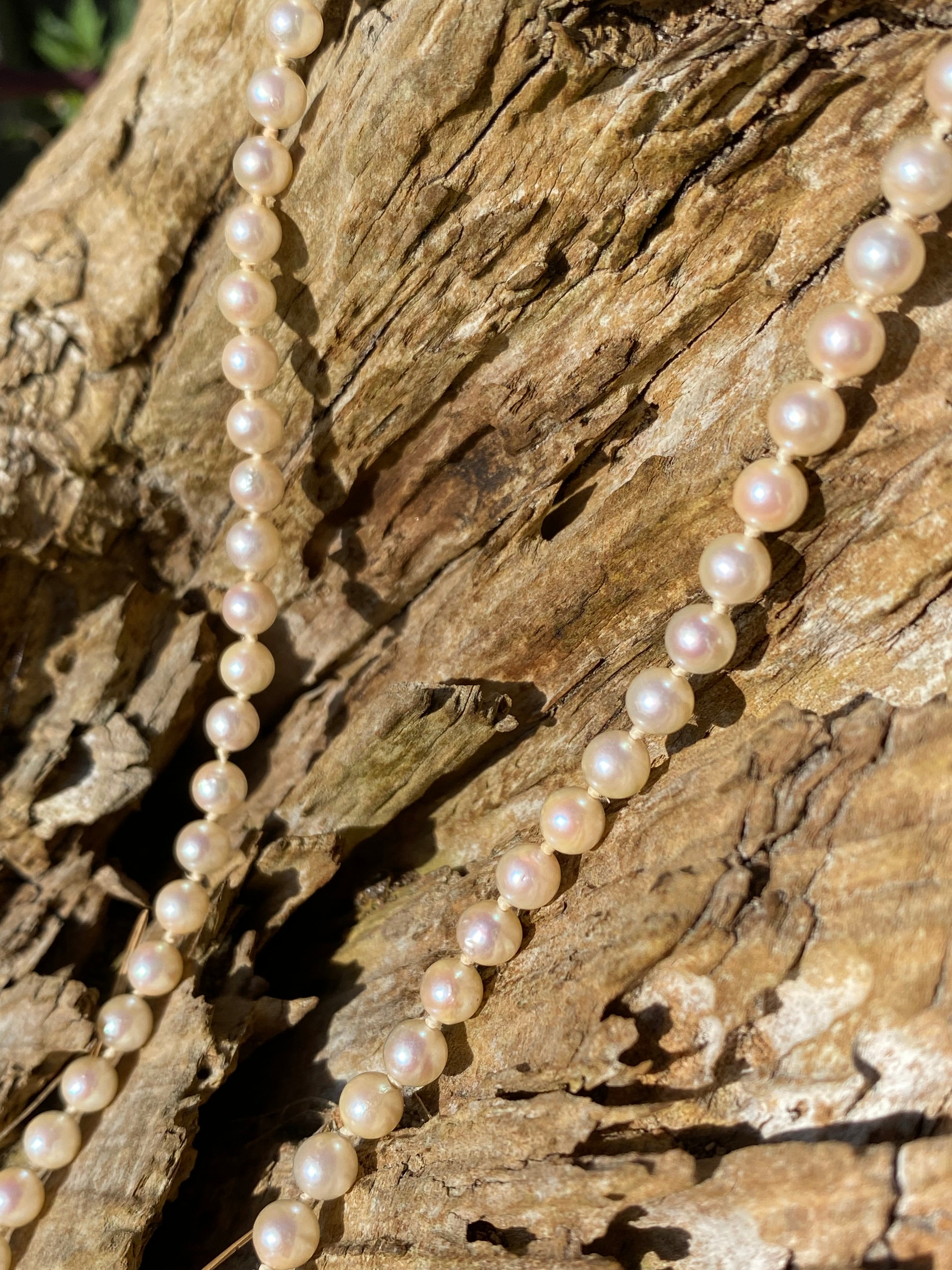 Vintage Cultured Akoya Pearl Necklace with 9ct Gold Clasp