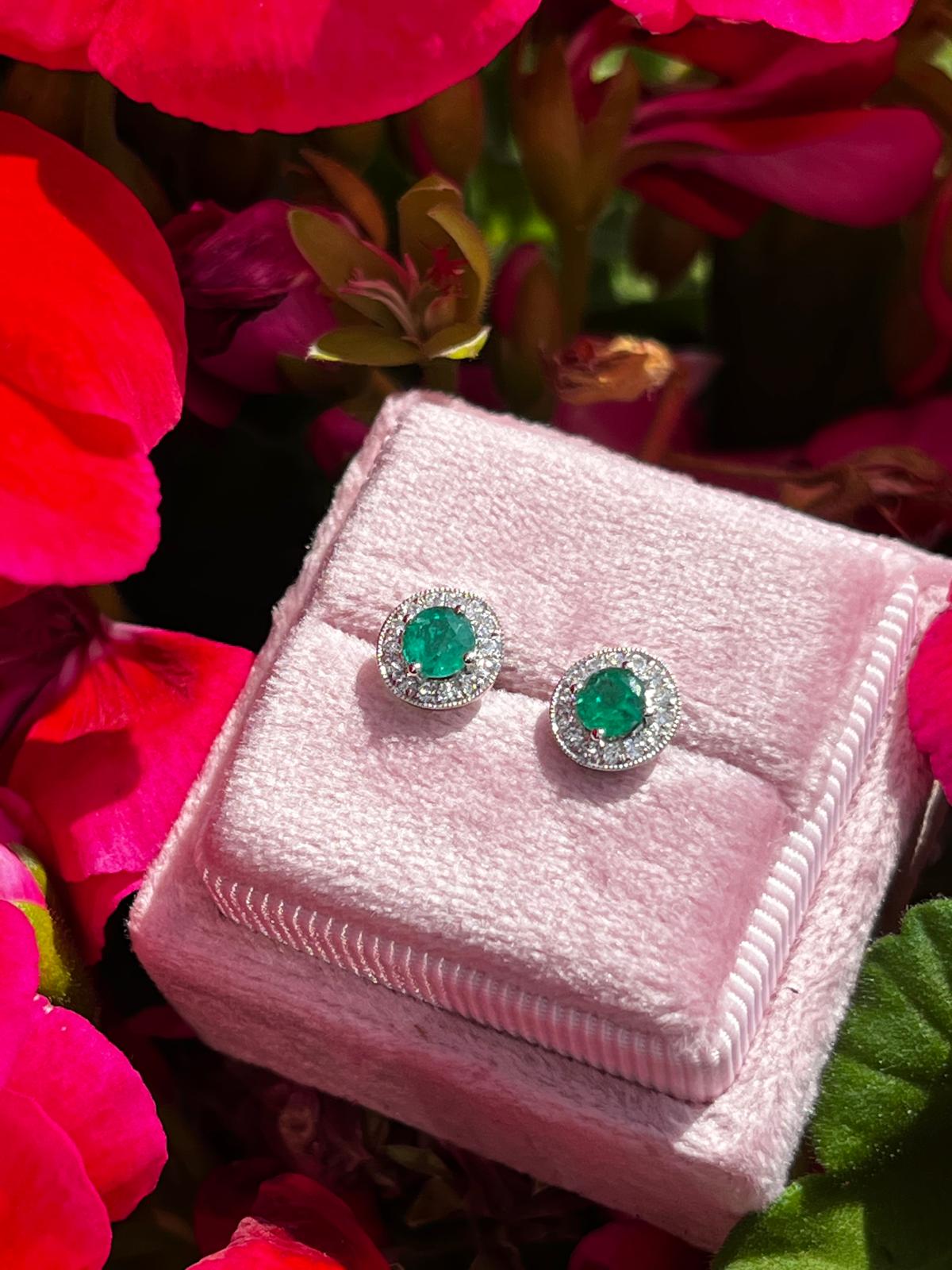Emerald and Natural Diamond Halo Stud Earrings in 18ct White Gold