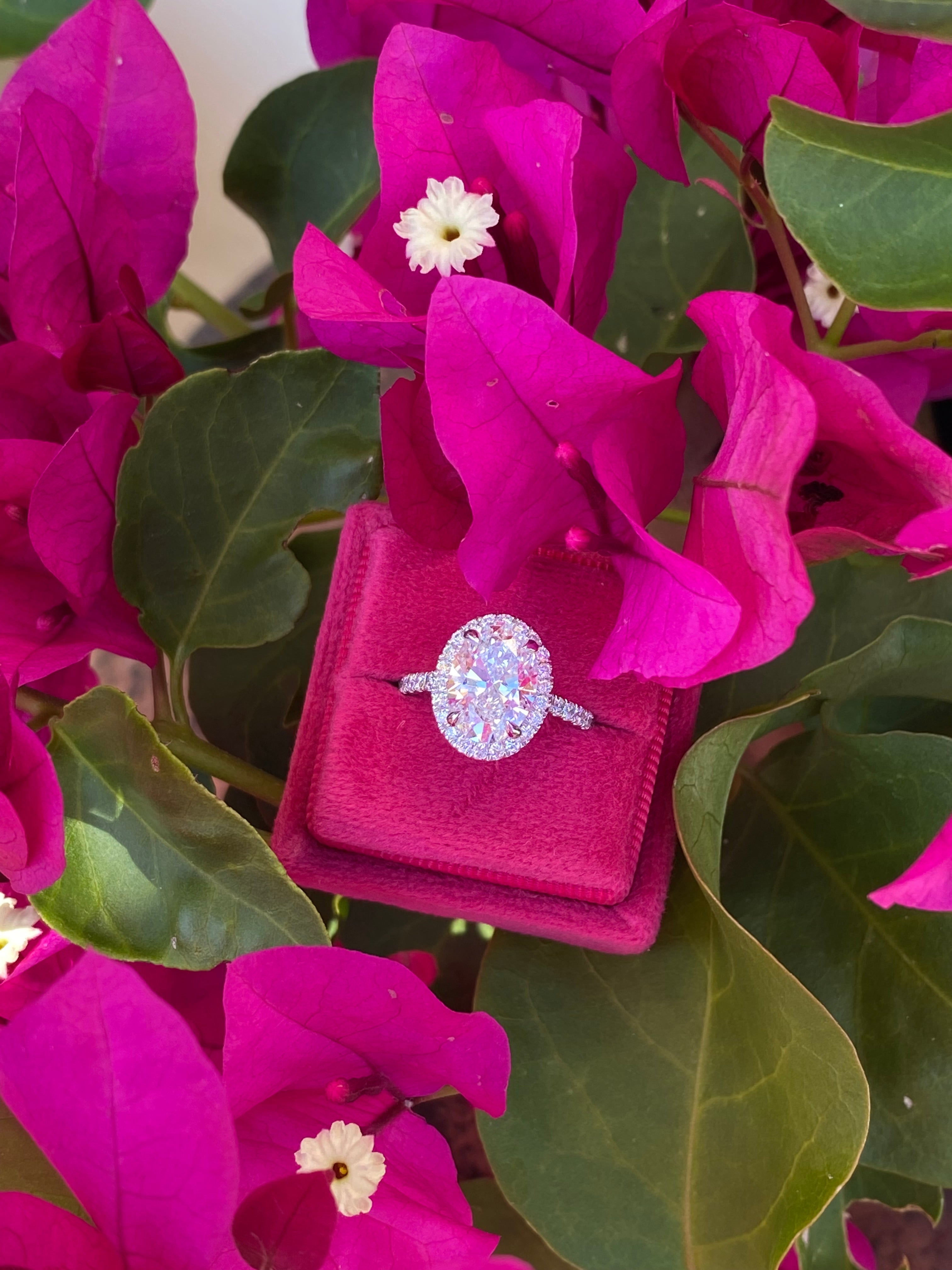 3.58 CTW Oval Cut Lab Diamond Halo Engagement Ring in Platinum