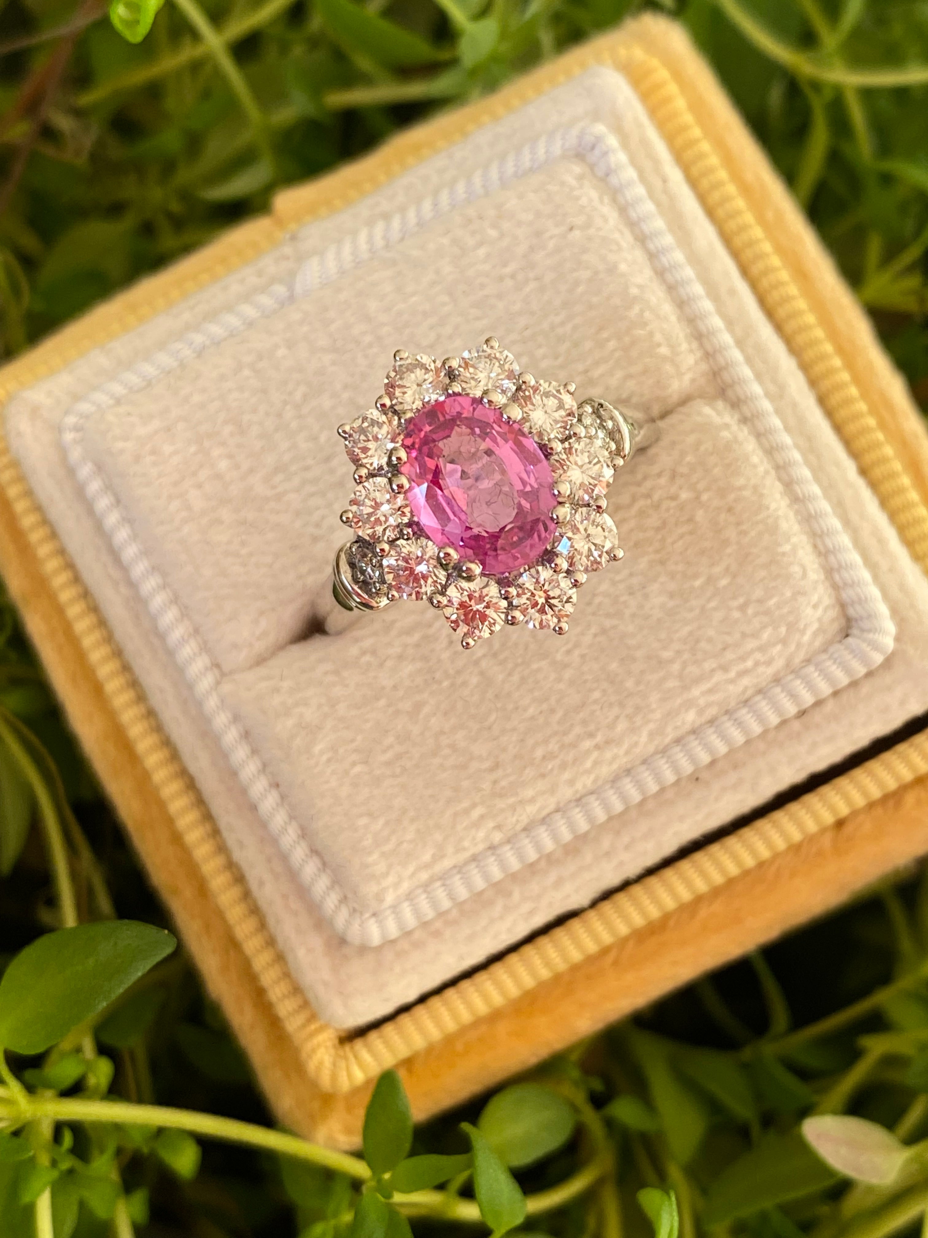 2.65 CTW Oval Cut Pink Sapphire and Natural Diamond Halo Ring in Platinum