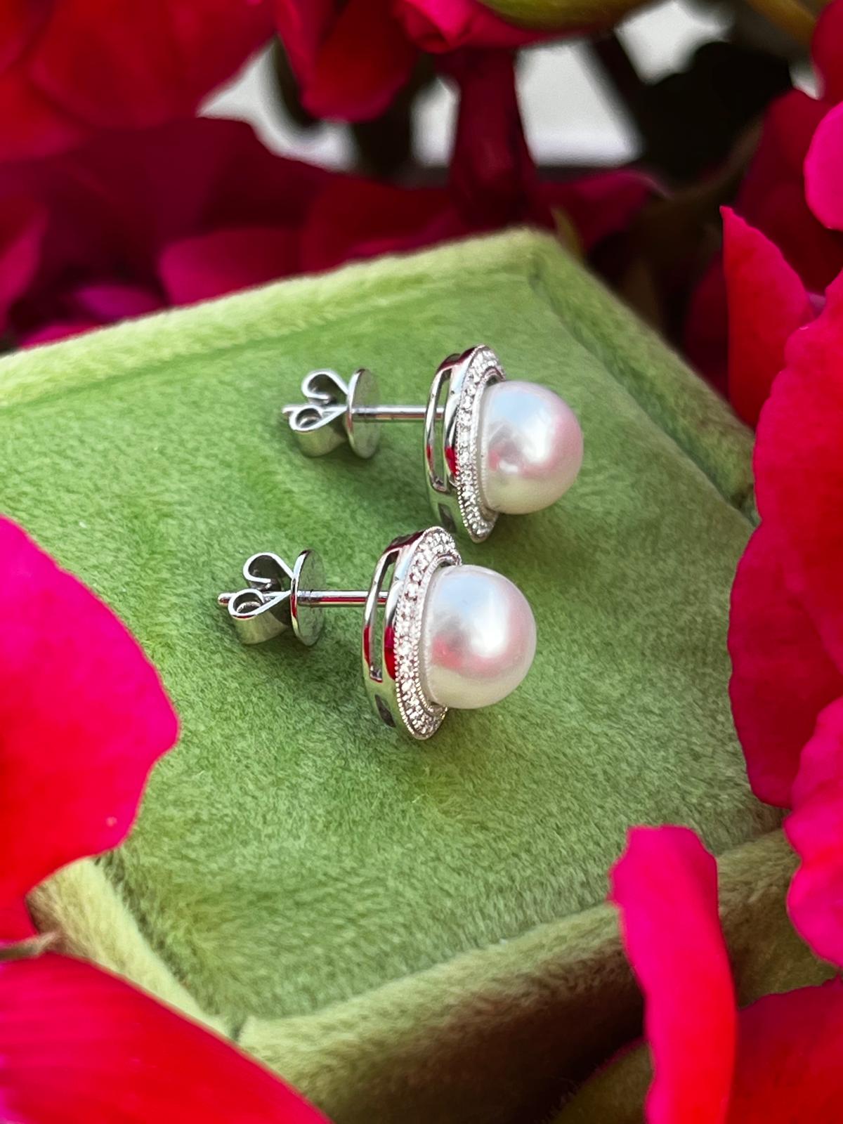 Pearl and Diamond Earrings in 18ct White Gold