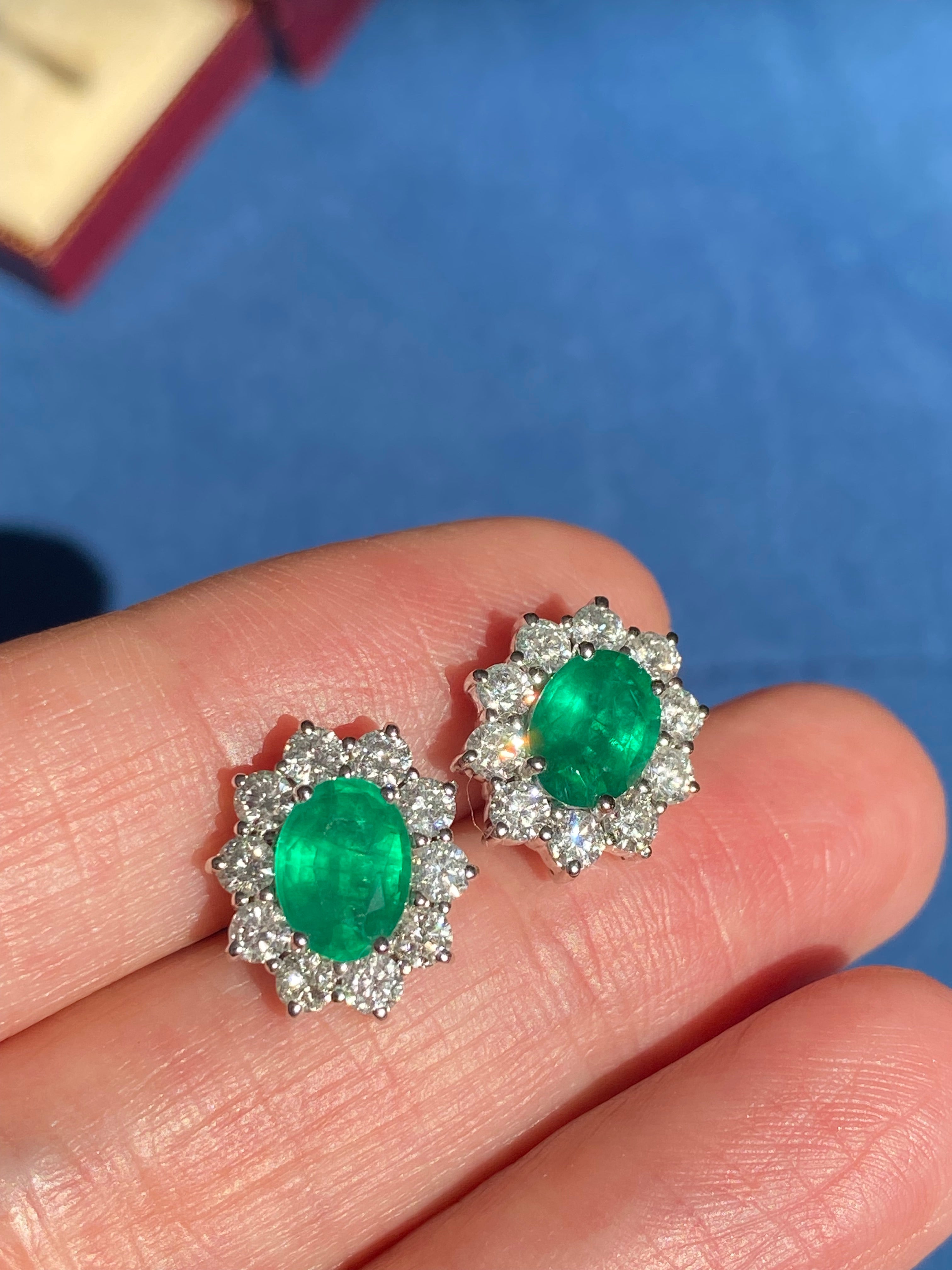 Extraordinary 3.65 CTW Emerald Earrings in 18ct White Gold