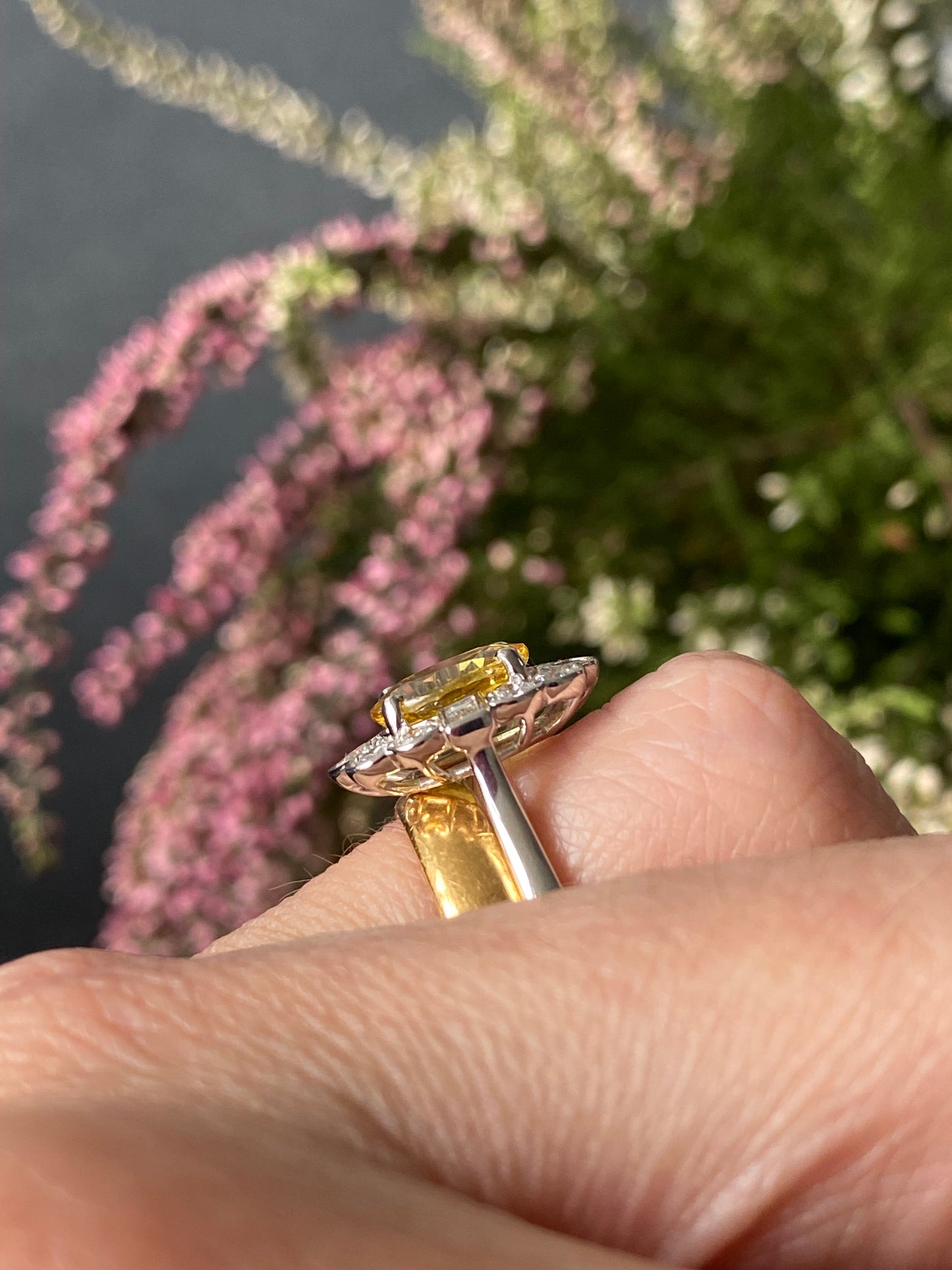 2.45 Carat Yellow Sapphire and Natural Diamond Halo Ring in Platinum