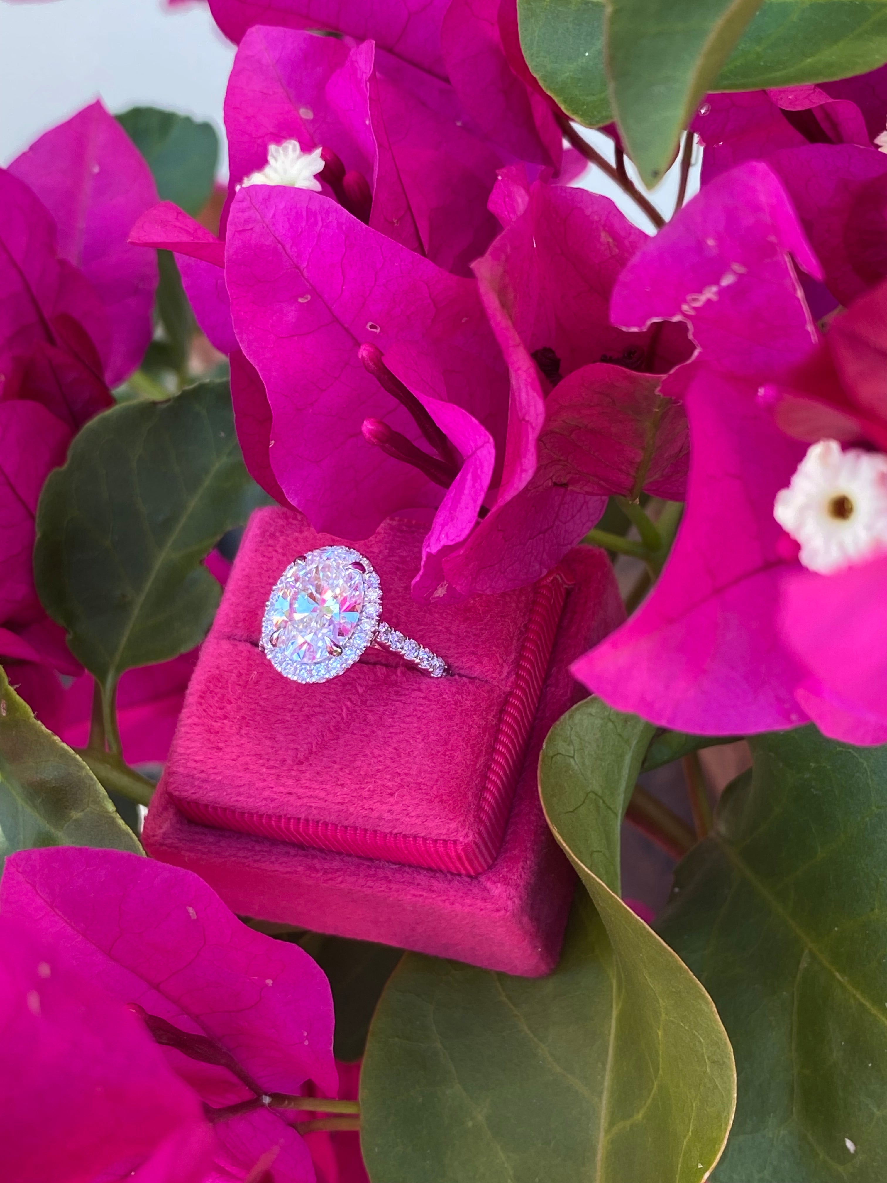 3.58 CTW Oval Cut Lab Diamond Halo Engagement Ring in Platinum