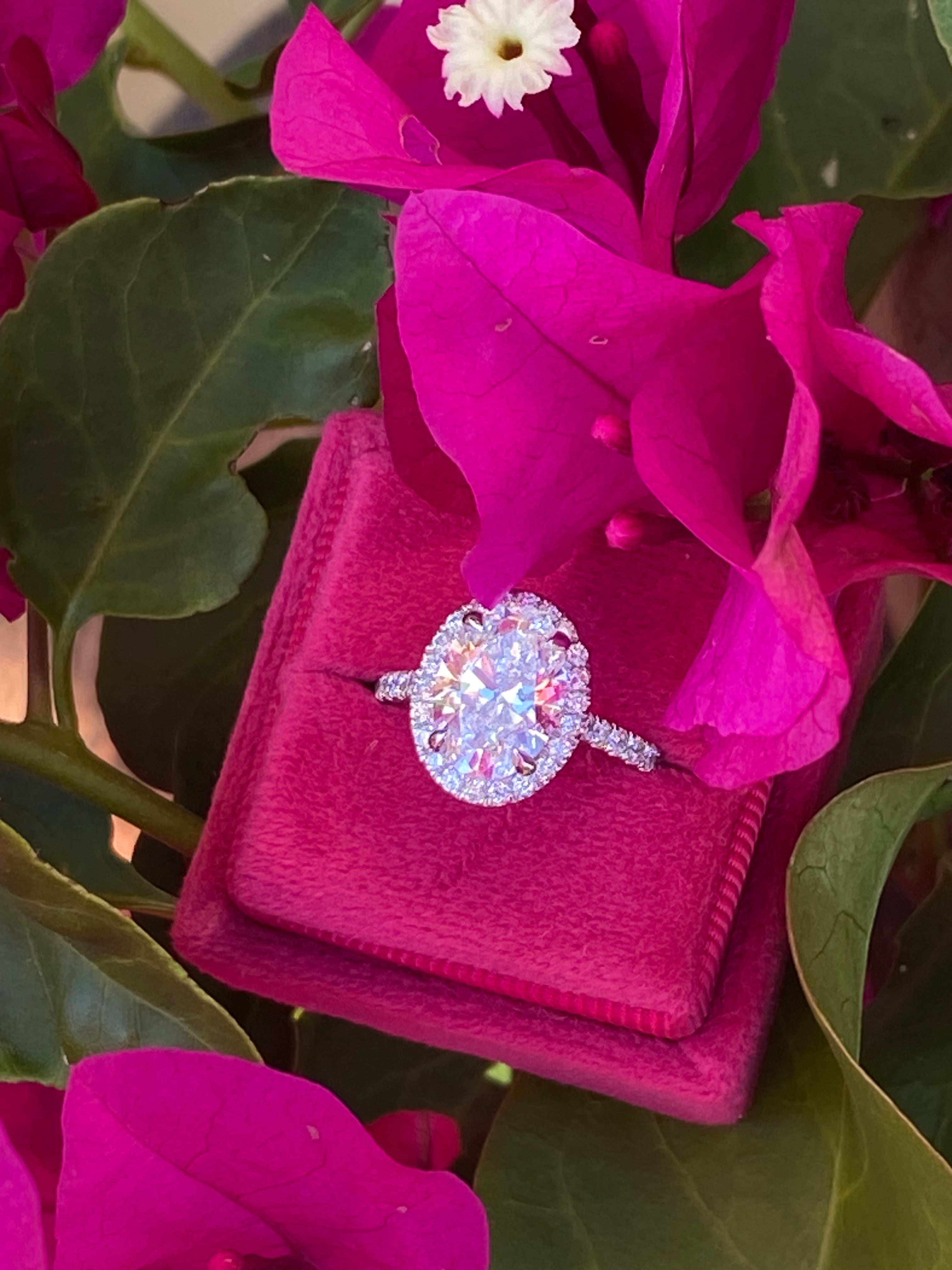 3.58 CTW Oval Cut Lab Diamond Halo Engagement Ring in Platinum