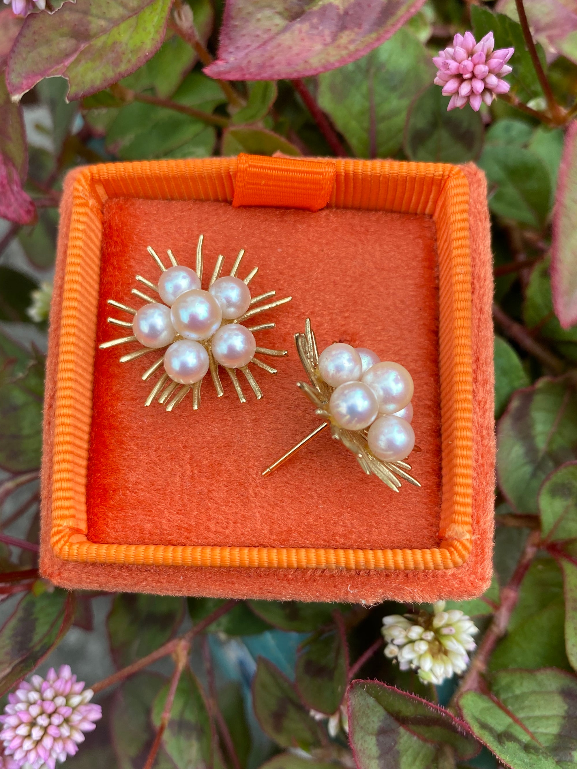 Vintage Pearl Earrings in 9ct Yellow Gold