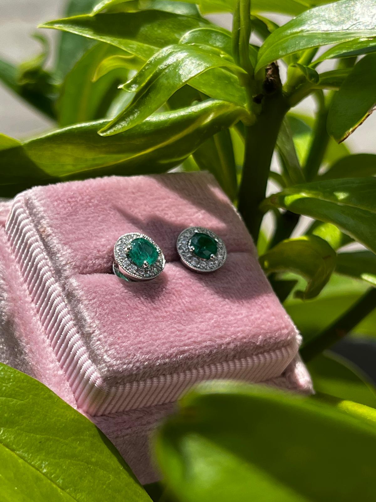 Emerald and Natural Diamond Halo Stud Earrings in 18ct White Gold