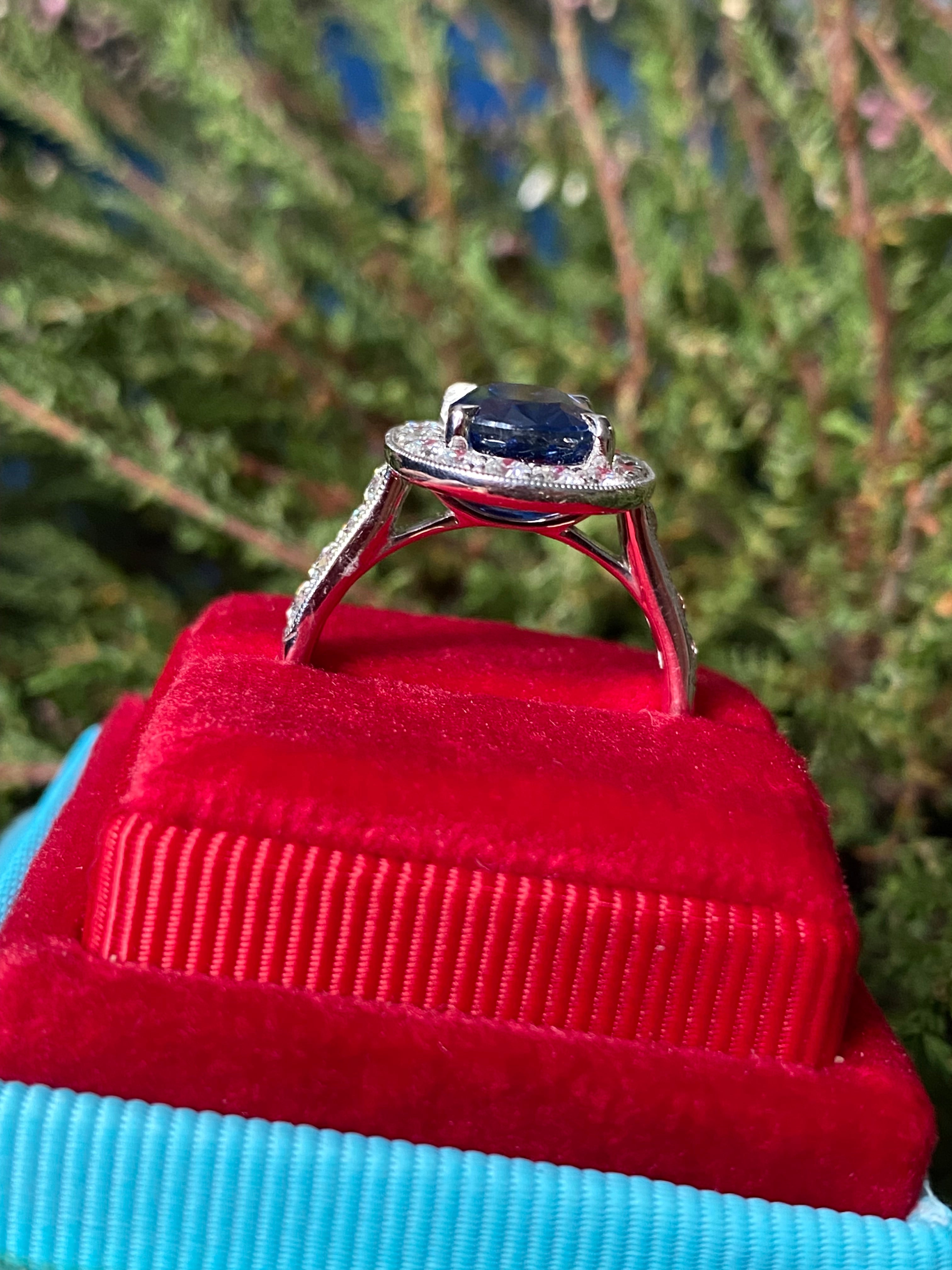 3.61 Carat Blue Ceylon Sapphire and Natural Diamond Halo Ring in Platinum