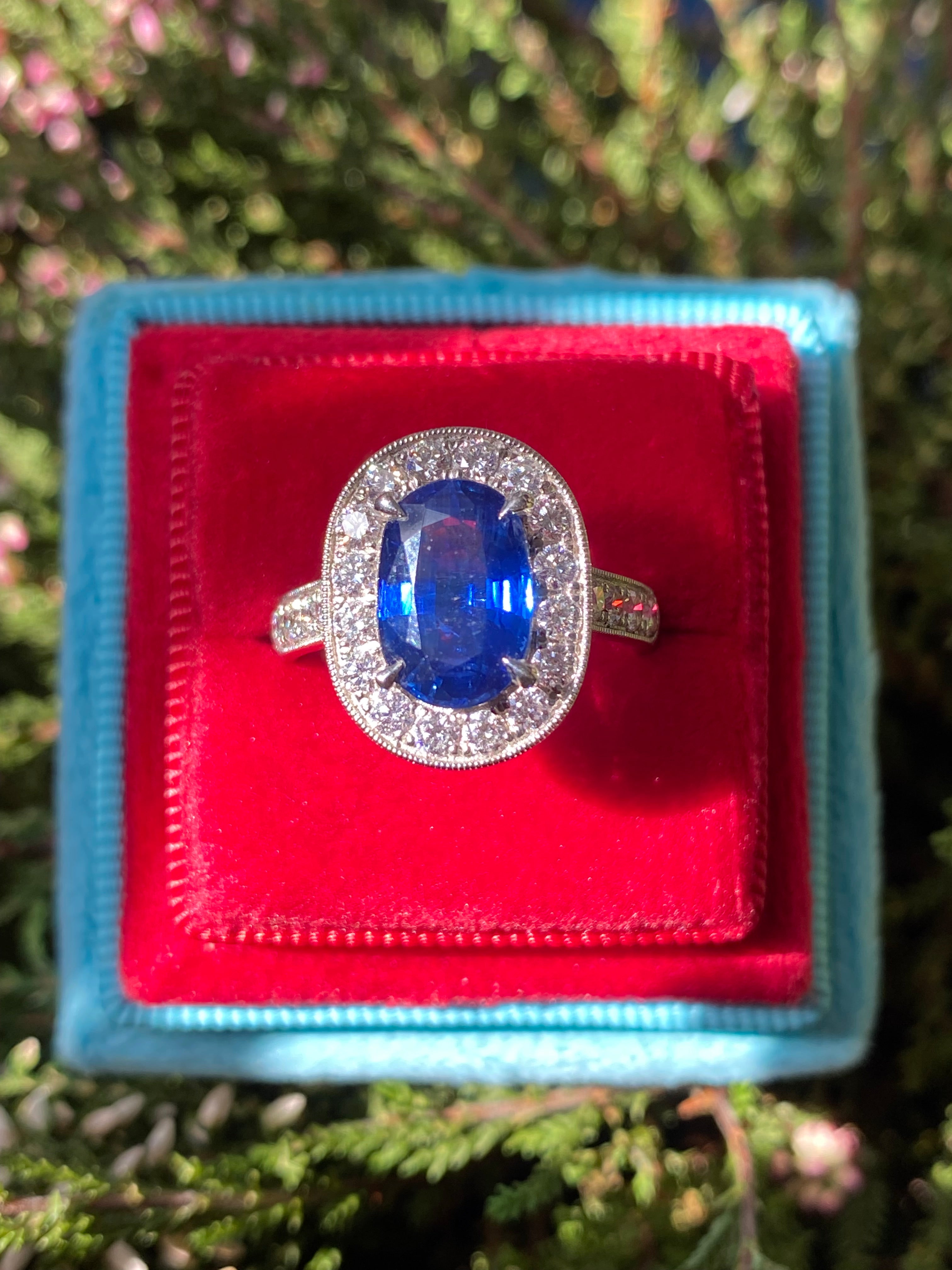 3.61 Carat Blue Ceylon Sapphire and Natural Diamond Halo Ring in Platinum