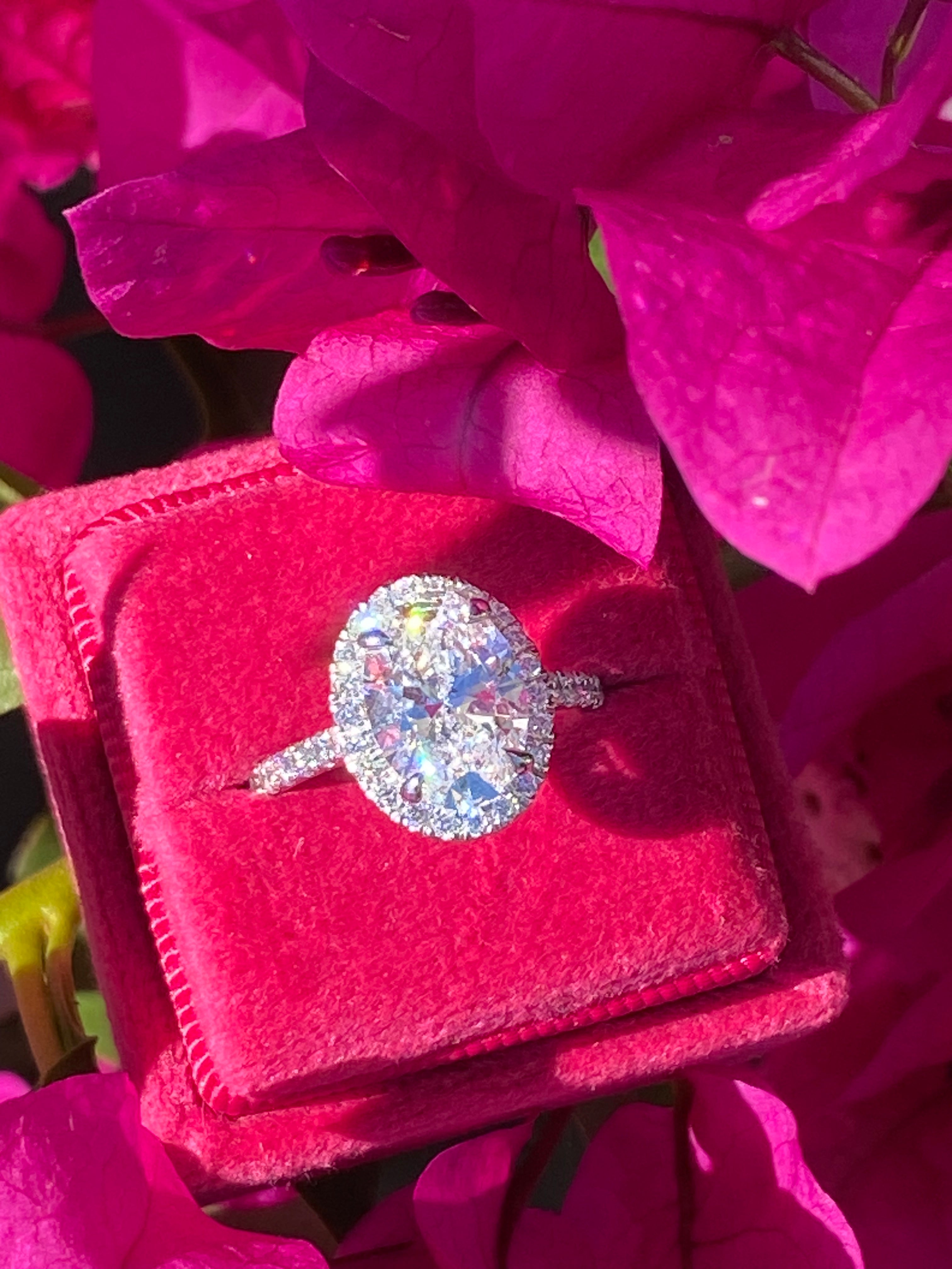3.58 CTW Oval Cut Lab Diamond Halo Engagement Ring in Platinum