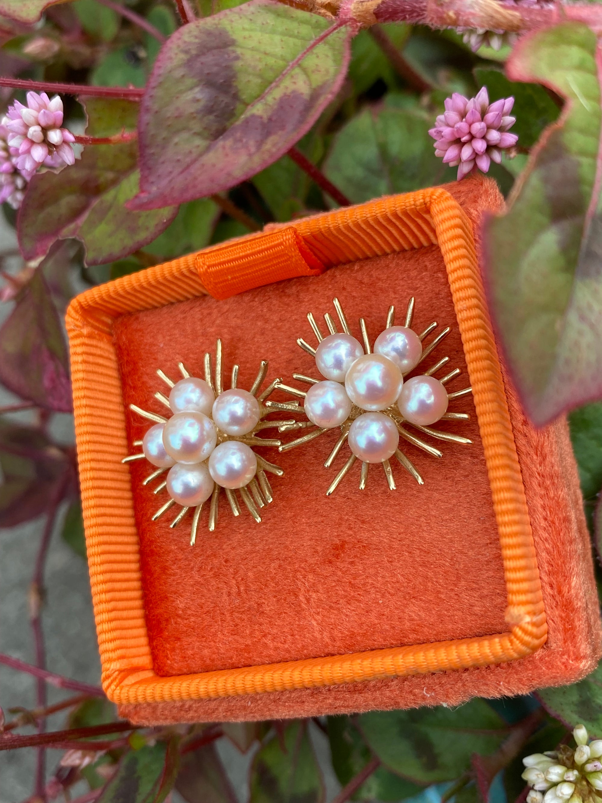 Vintage Pearl Earrings in 9ct Yellow Gold