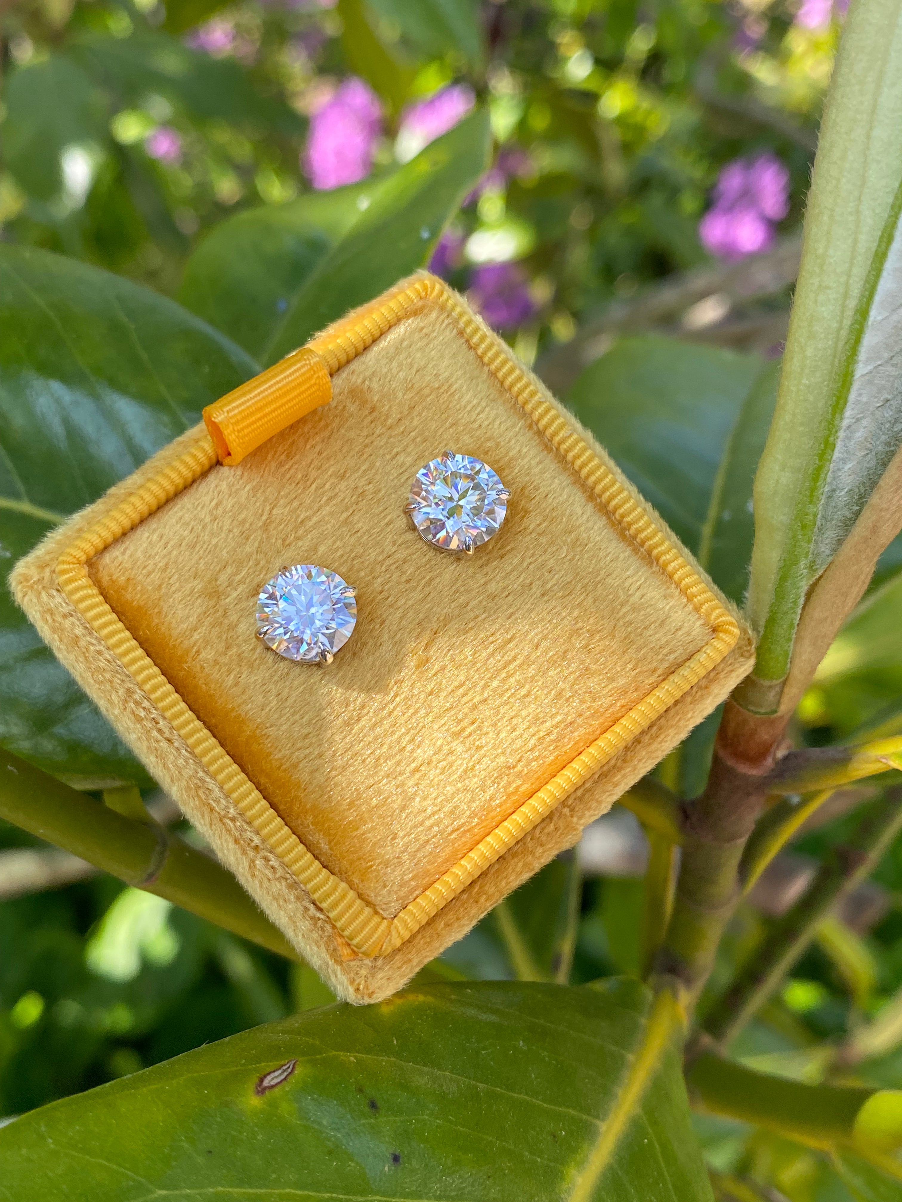 4.31 CTW Moissanite Stud Earrings in Sterling Silver