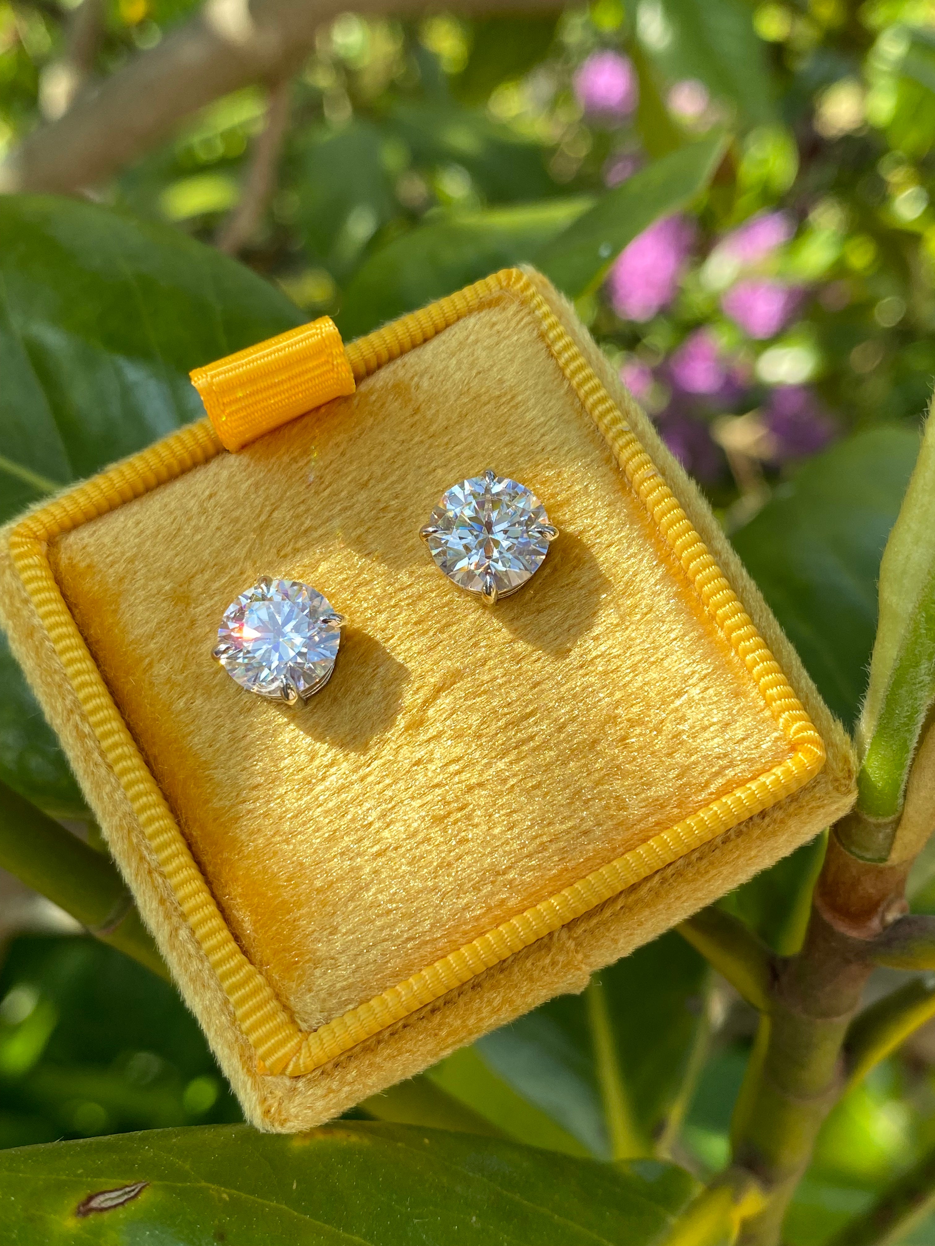 4.31 CTW Moissanite Stud Earrings in Sterling Silver