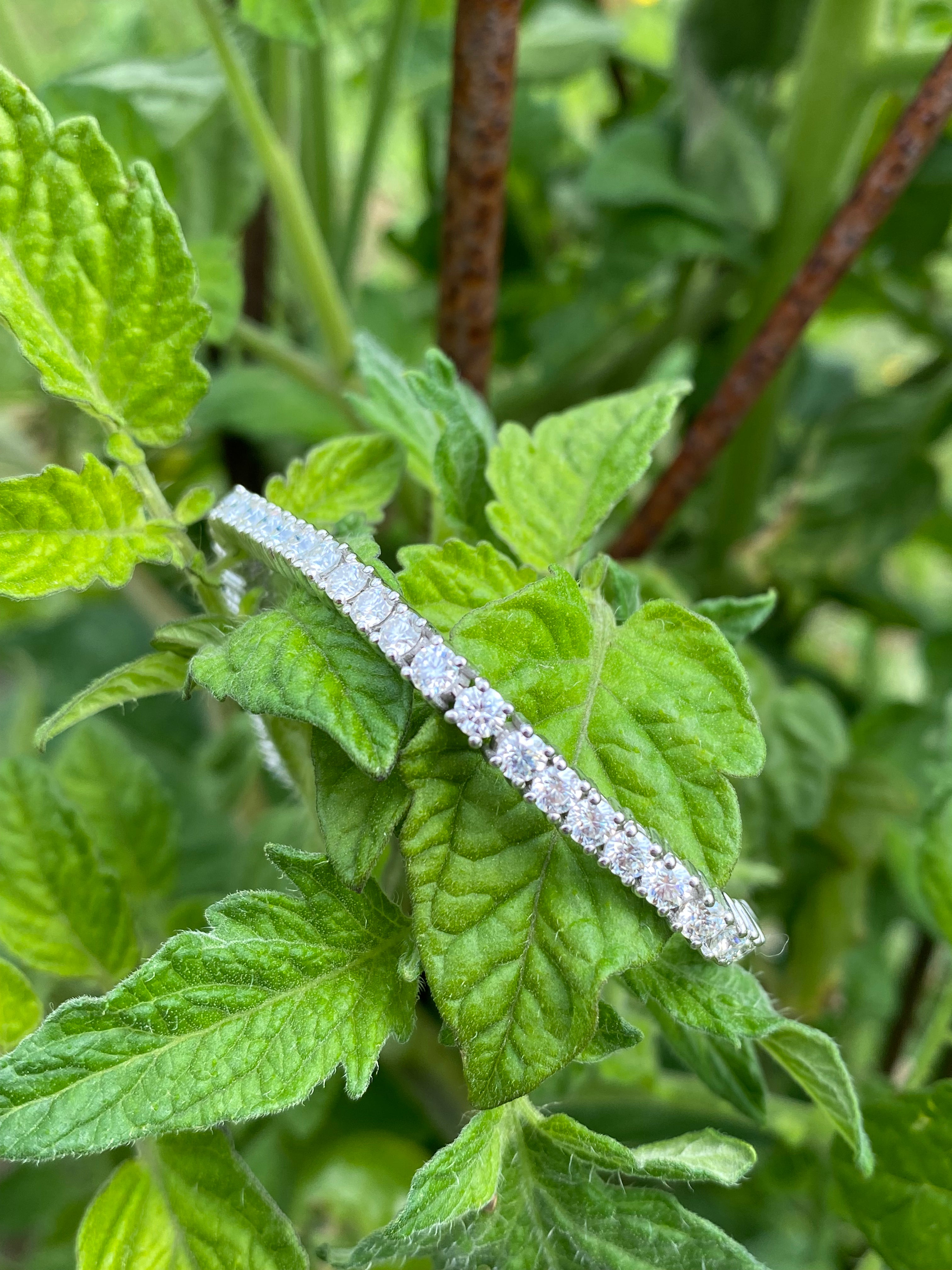 5.50 CTW Moissanite Tennis Bracelet in Sterling Silver