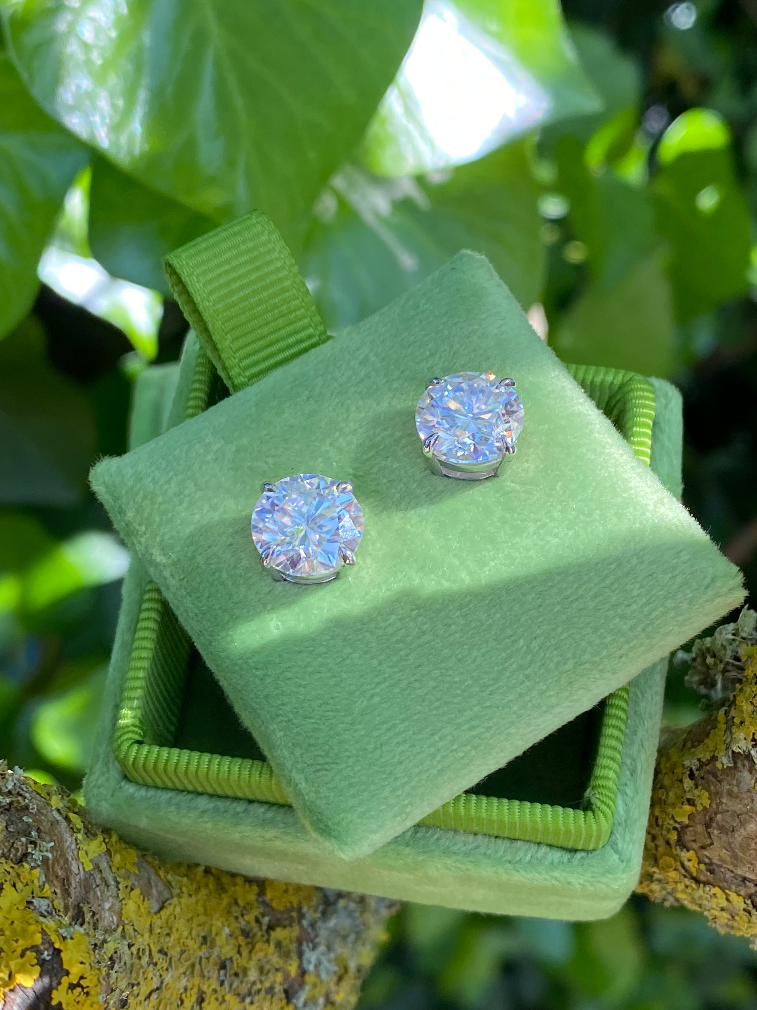 6.00 CTW Moissanite Stud Earrings