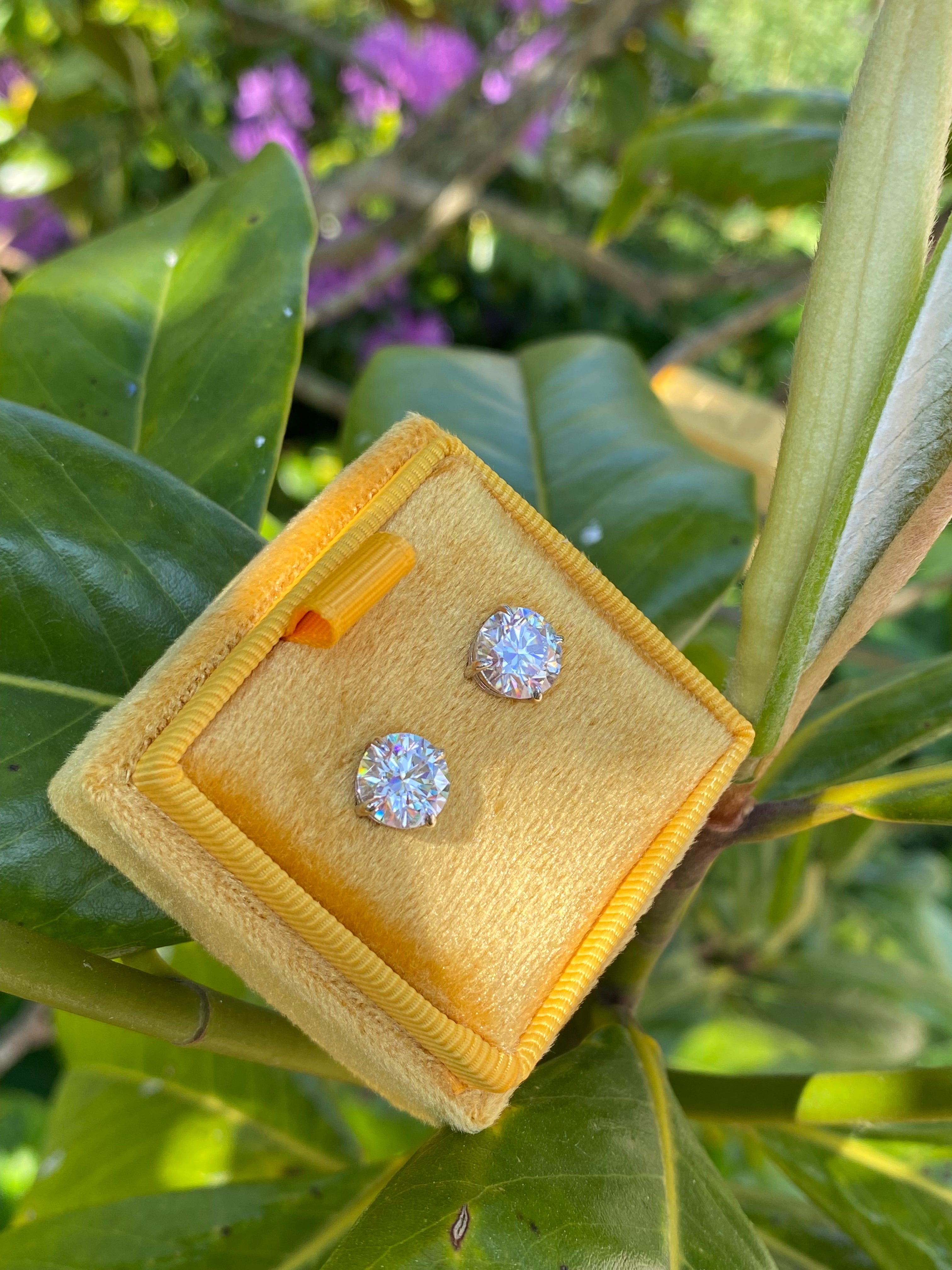 4.31 CTW Moissanite Stud Earrings in Sterling Silver