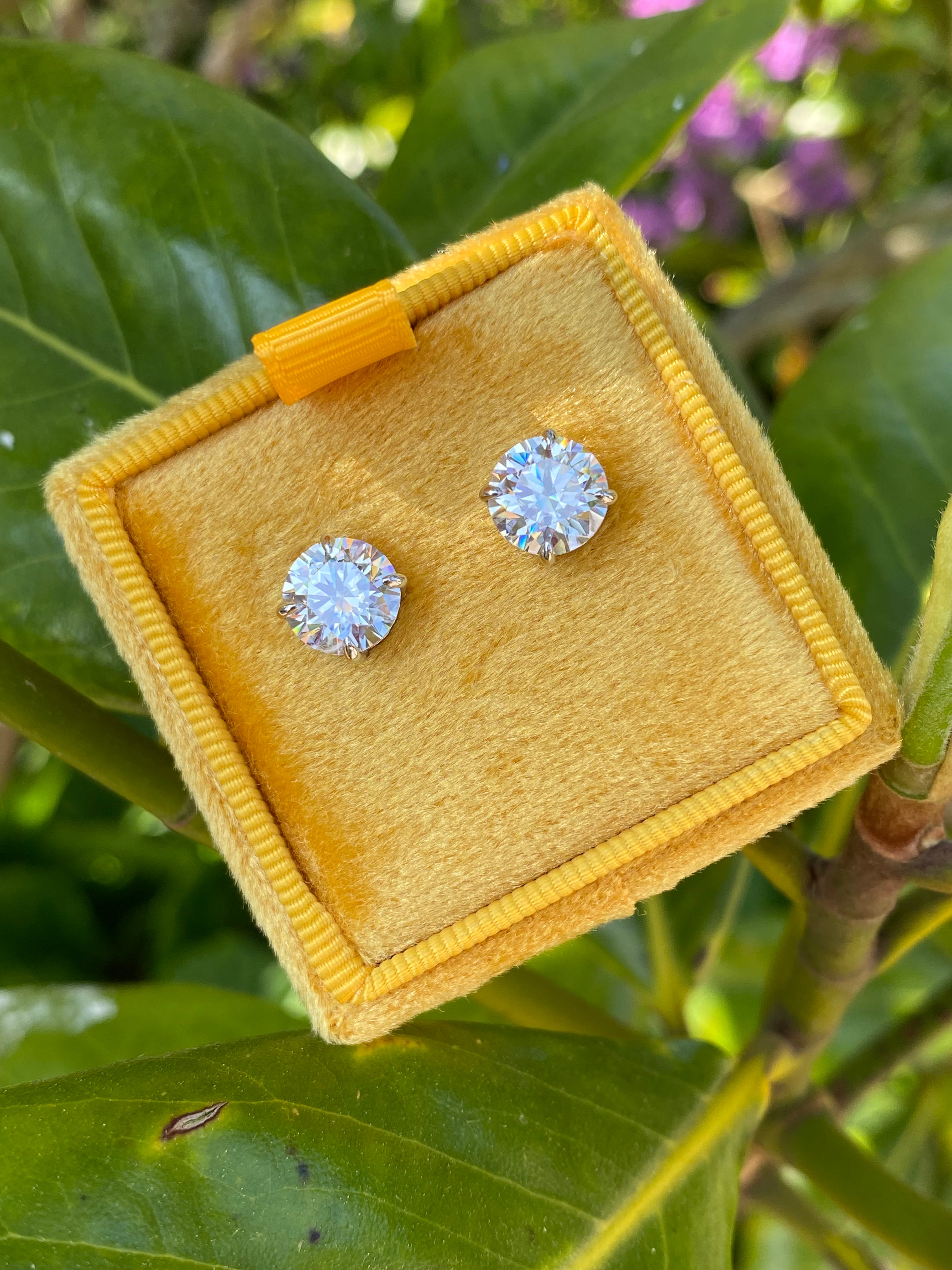 4.31 CTW Moissanite Stud Earrings in Sterling Silver