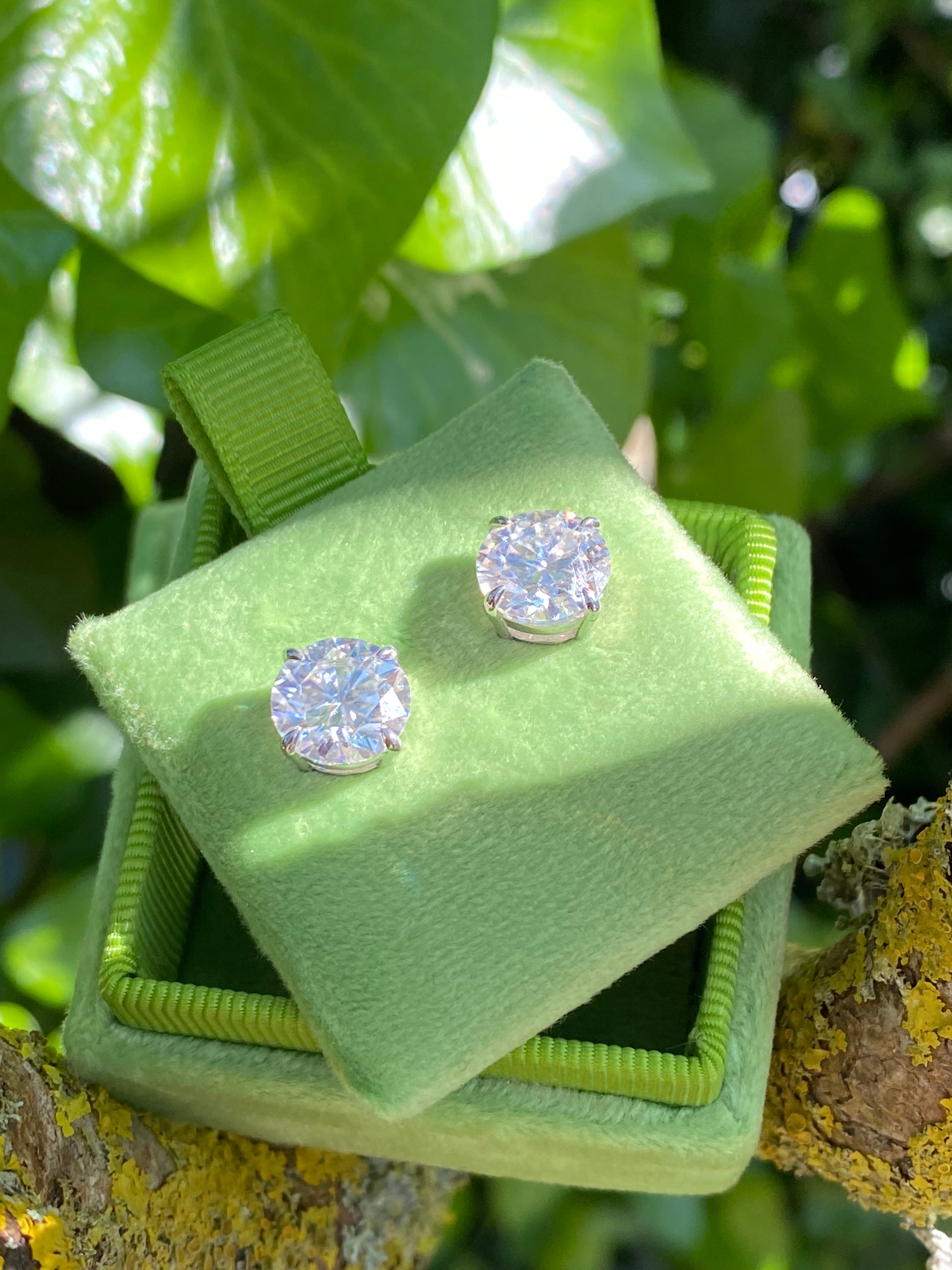 6.00 CTW Moissanite Stud Earrings