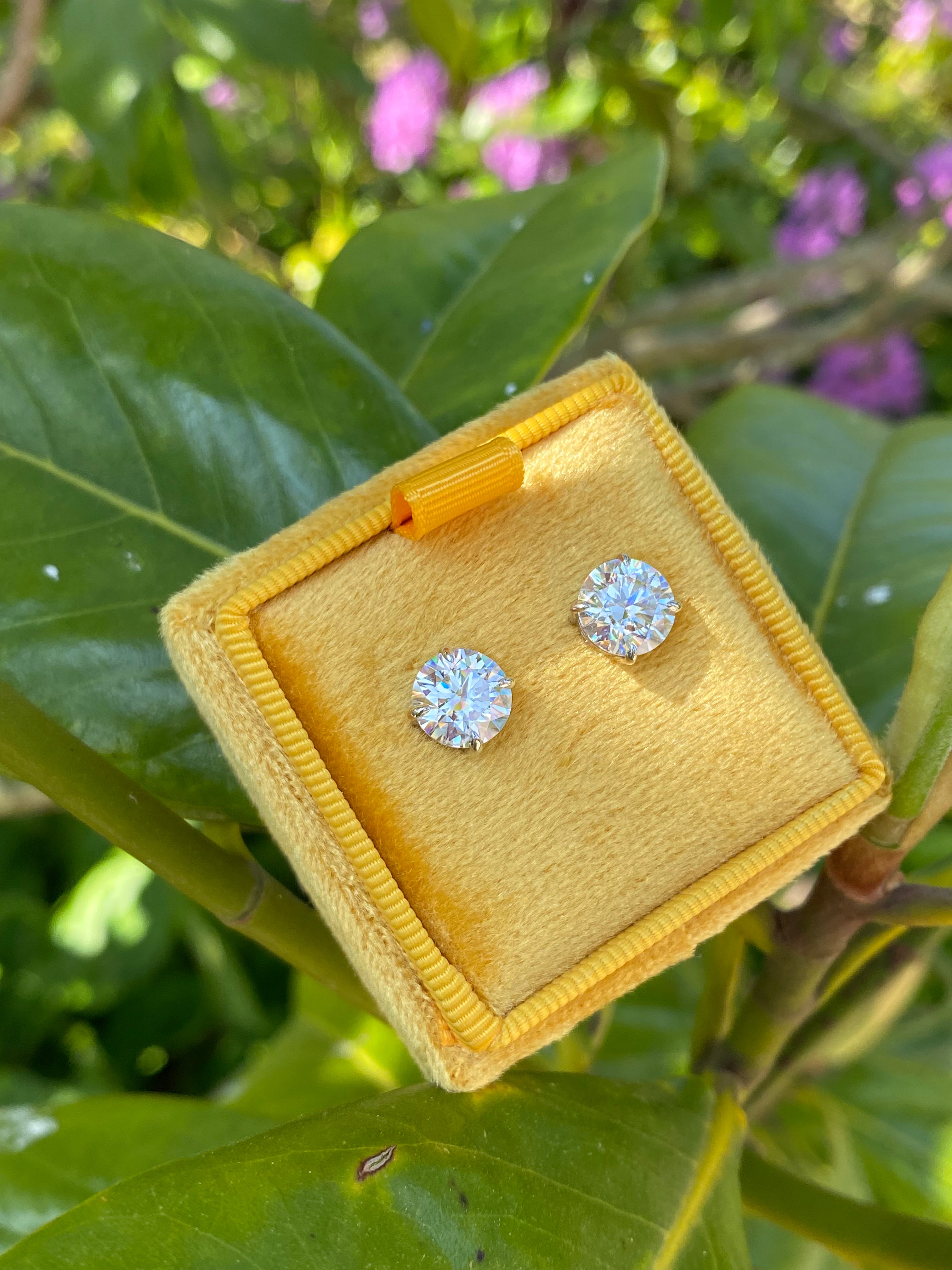 4.31 CTW Moissanite Stud Earrings in Sterling Silver