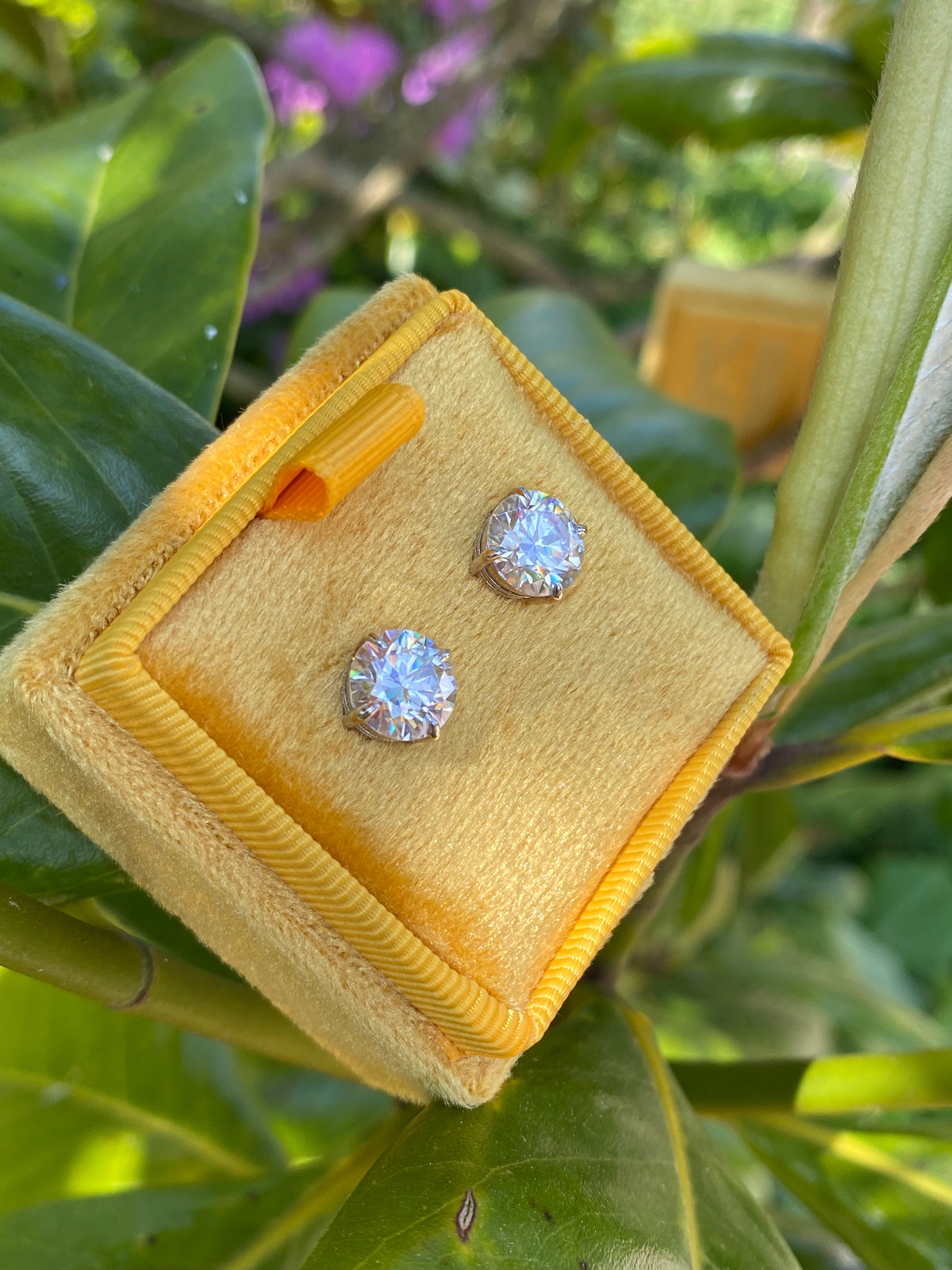 4.31 CTW Moissanite Stud Earrings in Sterling Silver