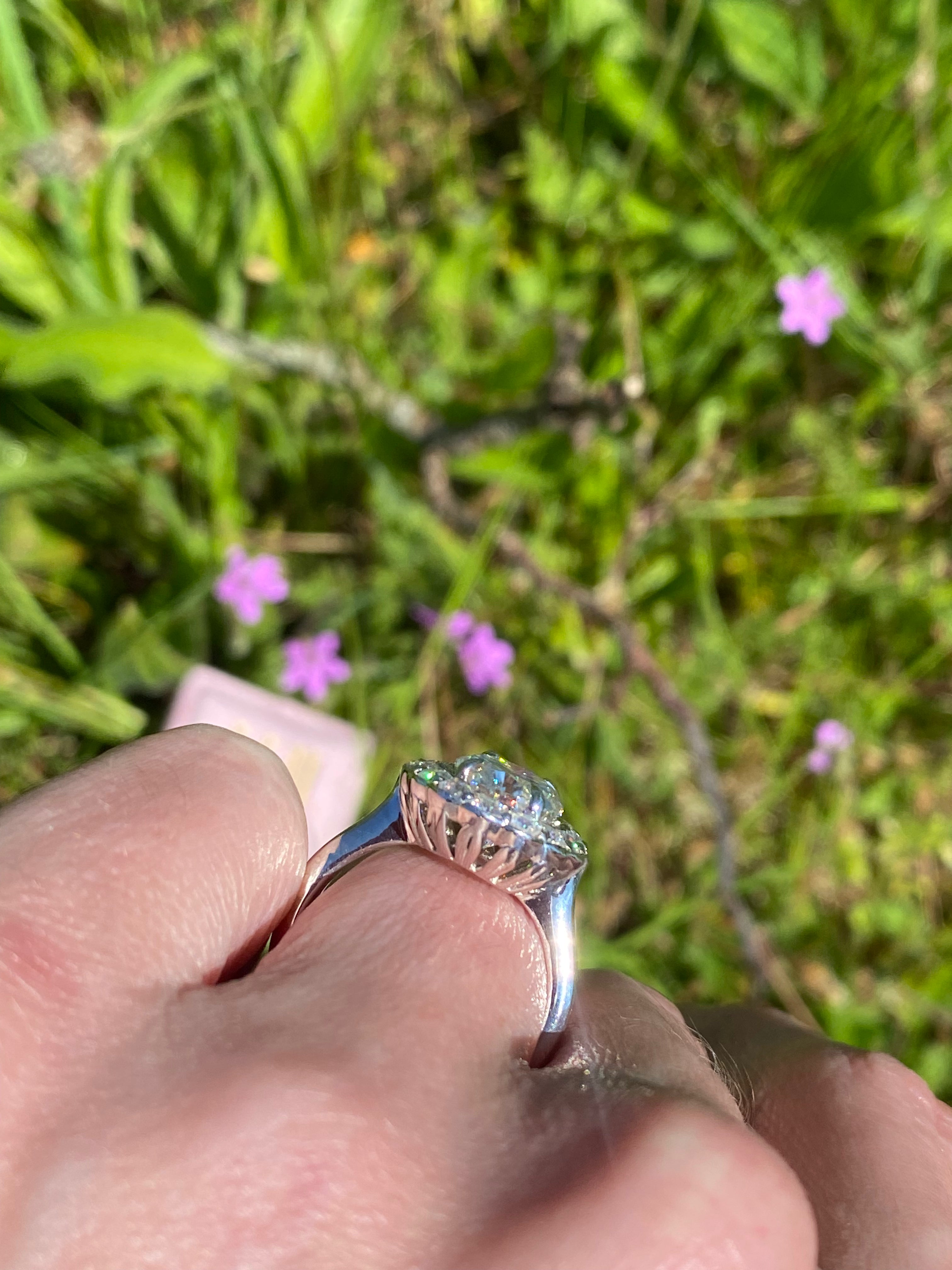 4.47 Carat Oval Cut Moissanite Oval Halo Ring in Sterling Silver