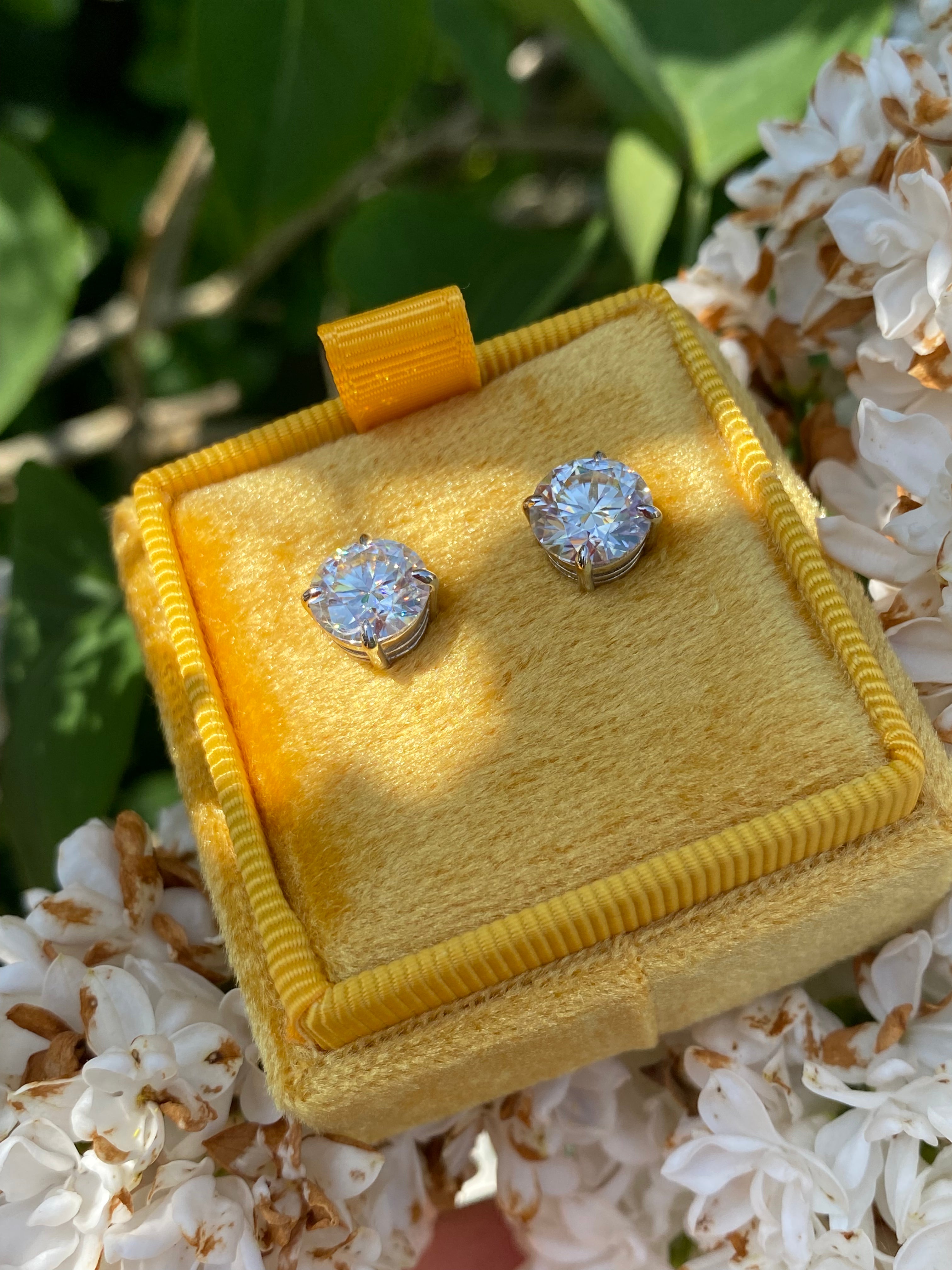 4.31 CTW Moissanite Stud Earrings in Sterling Silver