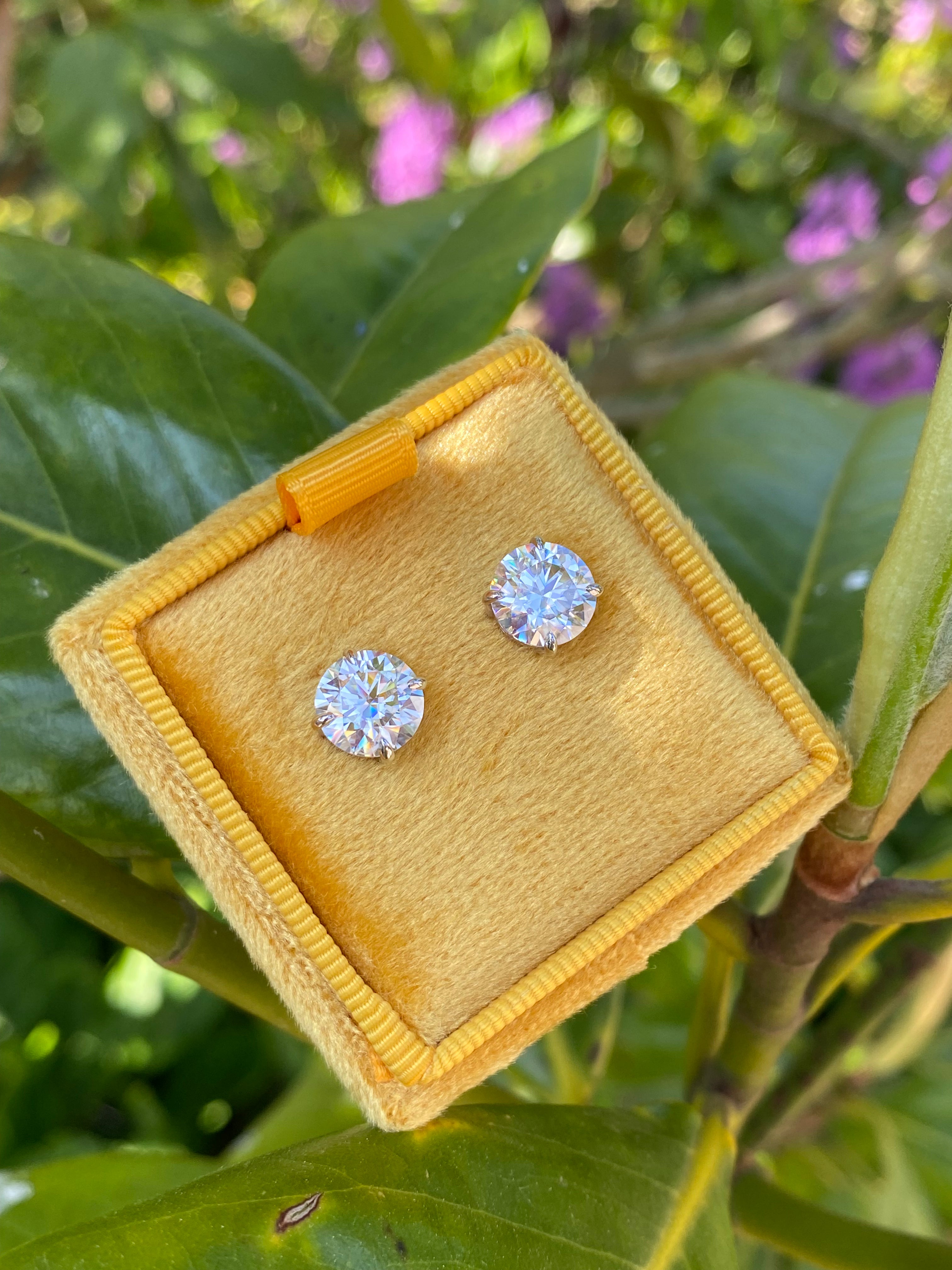 4.31 CTW Moissanite Stud Earrings in Sterling Silver