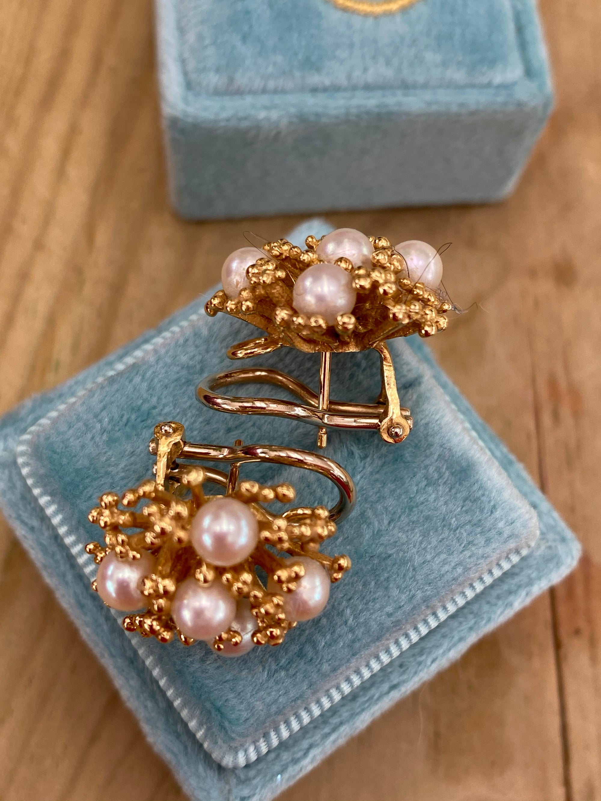Pearl Earrings in 18ct Yellow Gold