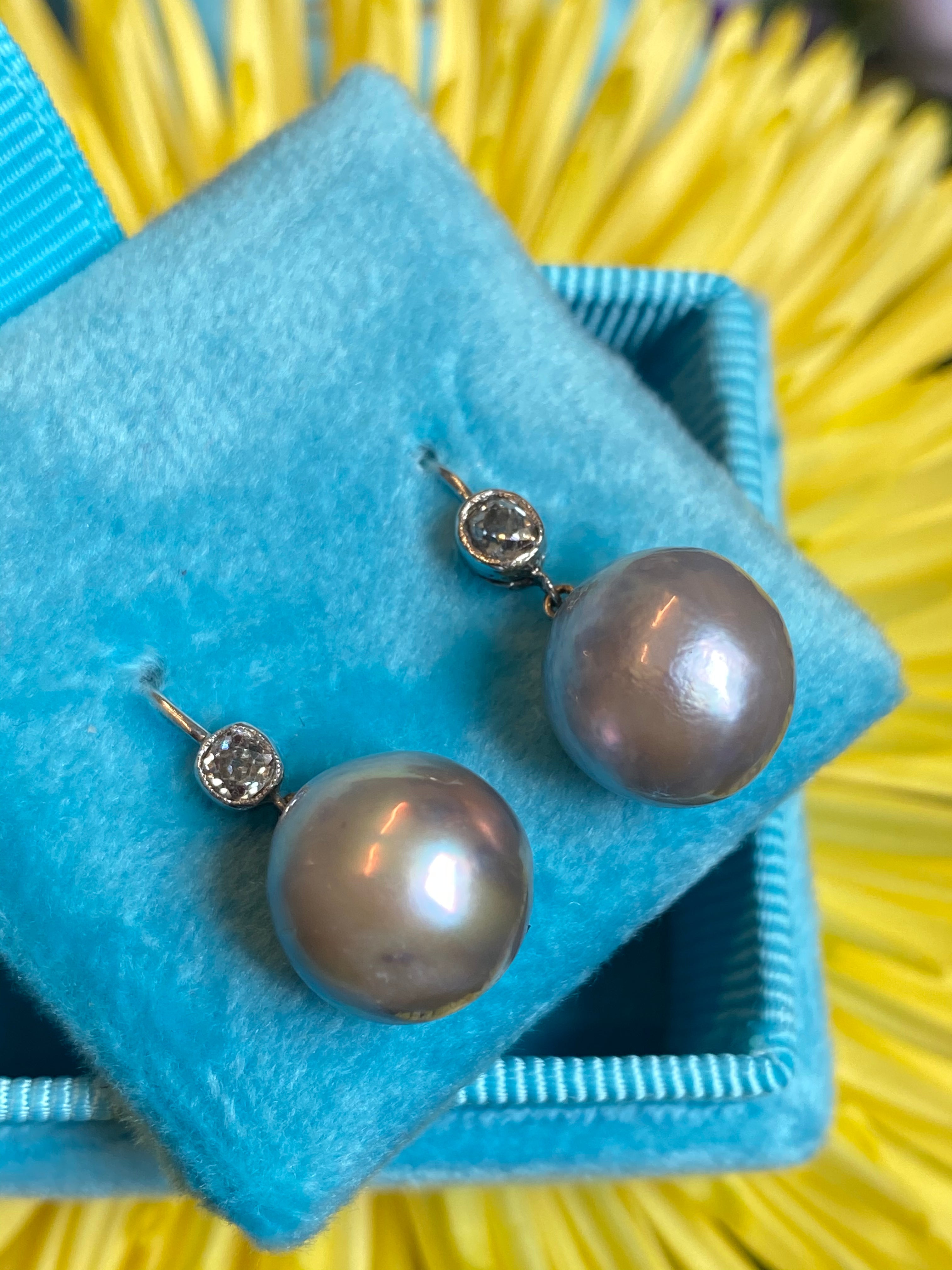 Old cut Diamond and pearl drop earrings in White gold 