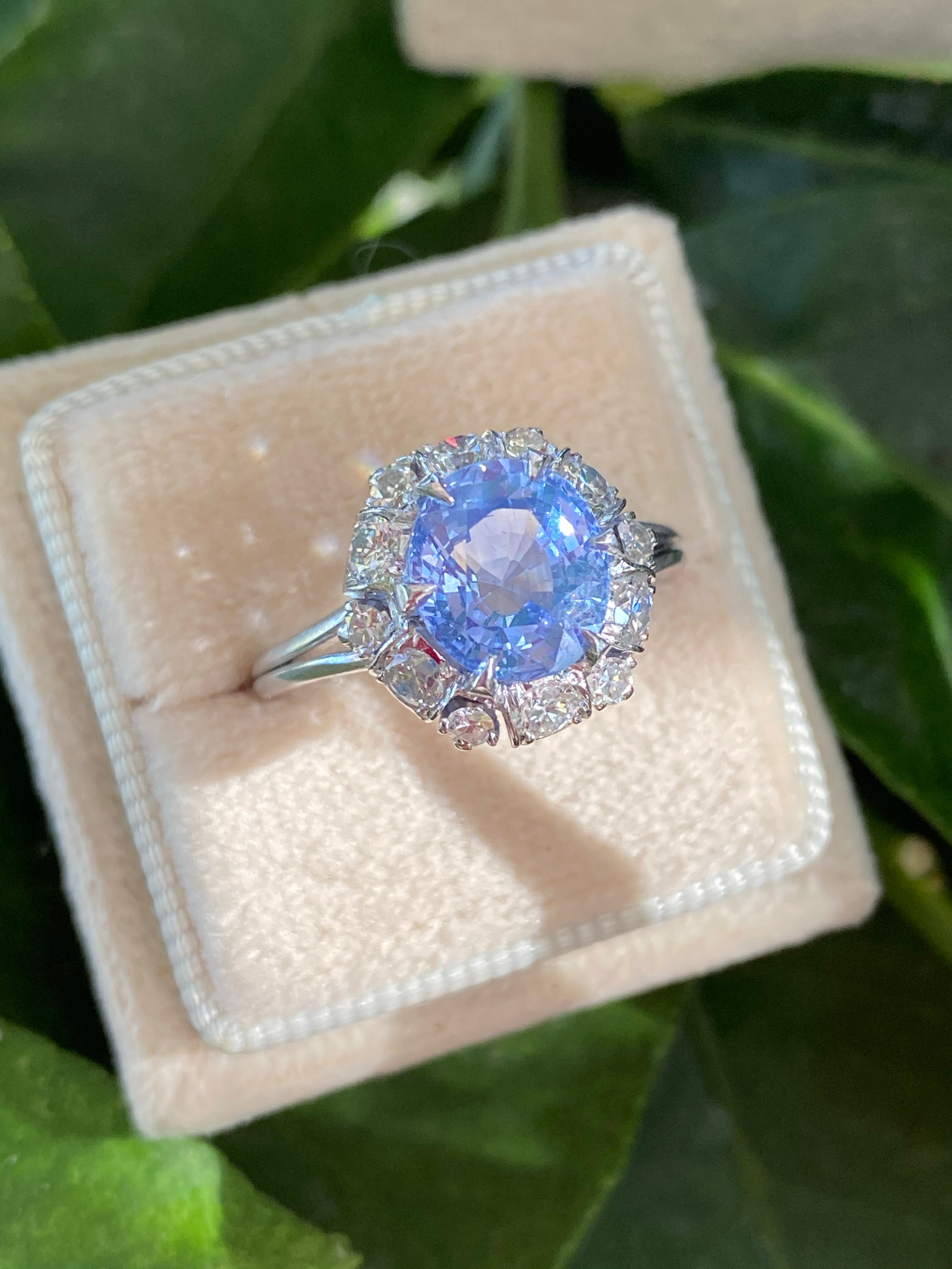 3.51 Carat Blue Ceylon Sapphire and Diamond Halo Ring in Platinum 