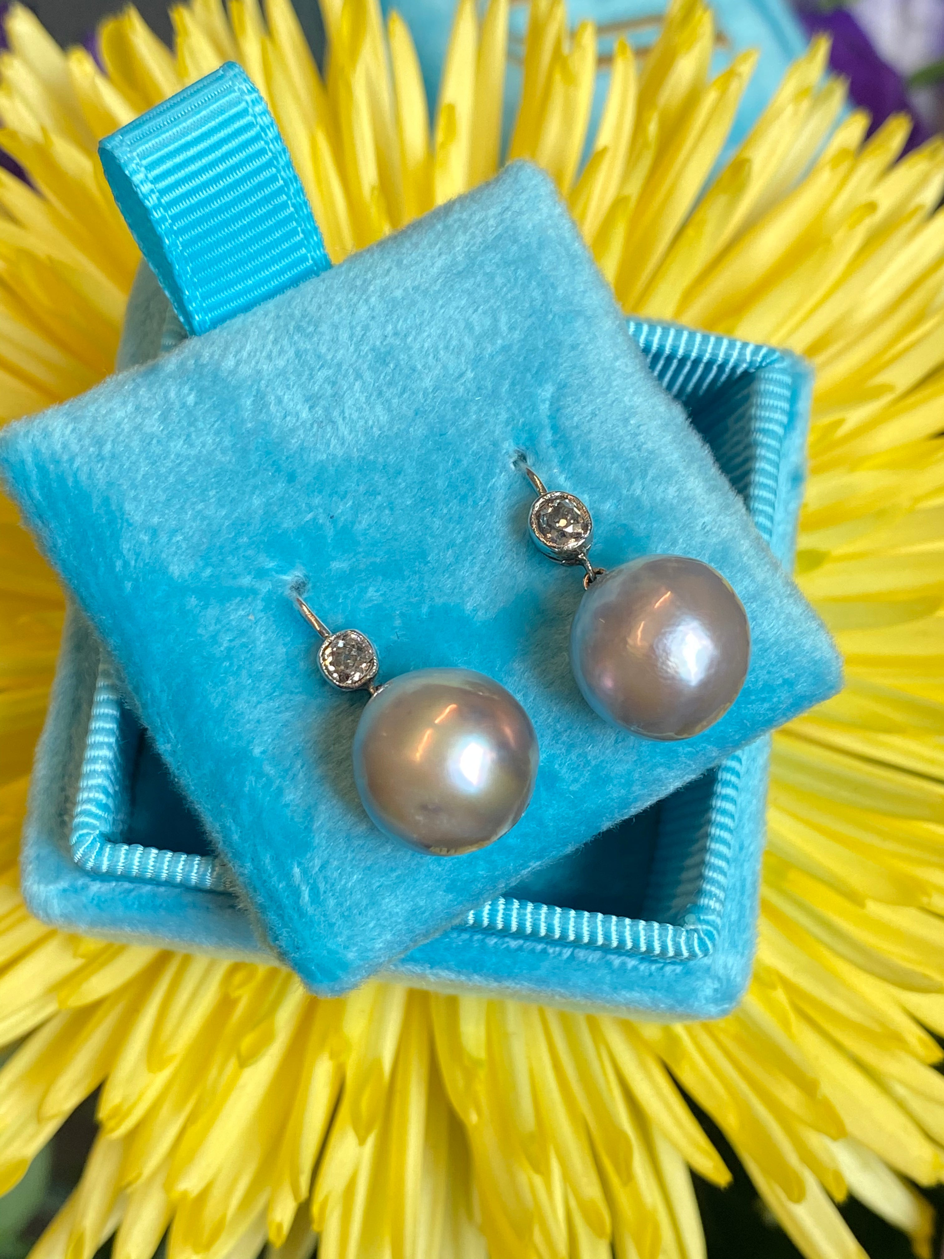 Old cut Diamond and pearl drop earrings in White gold 