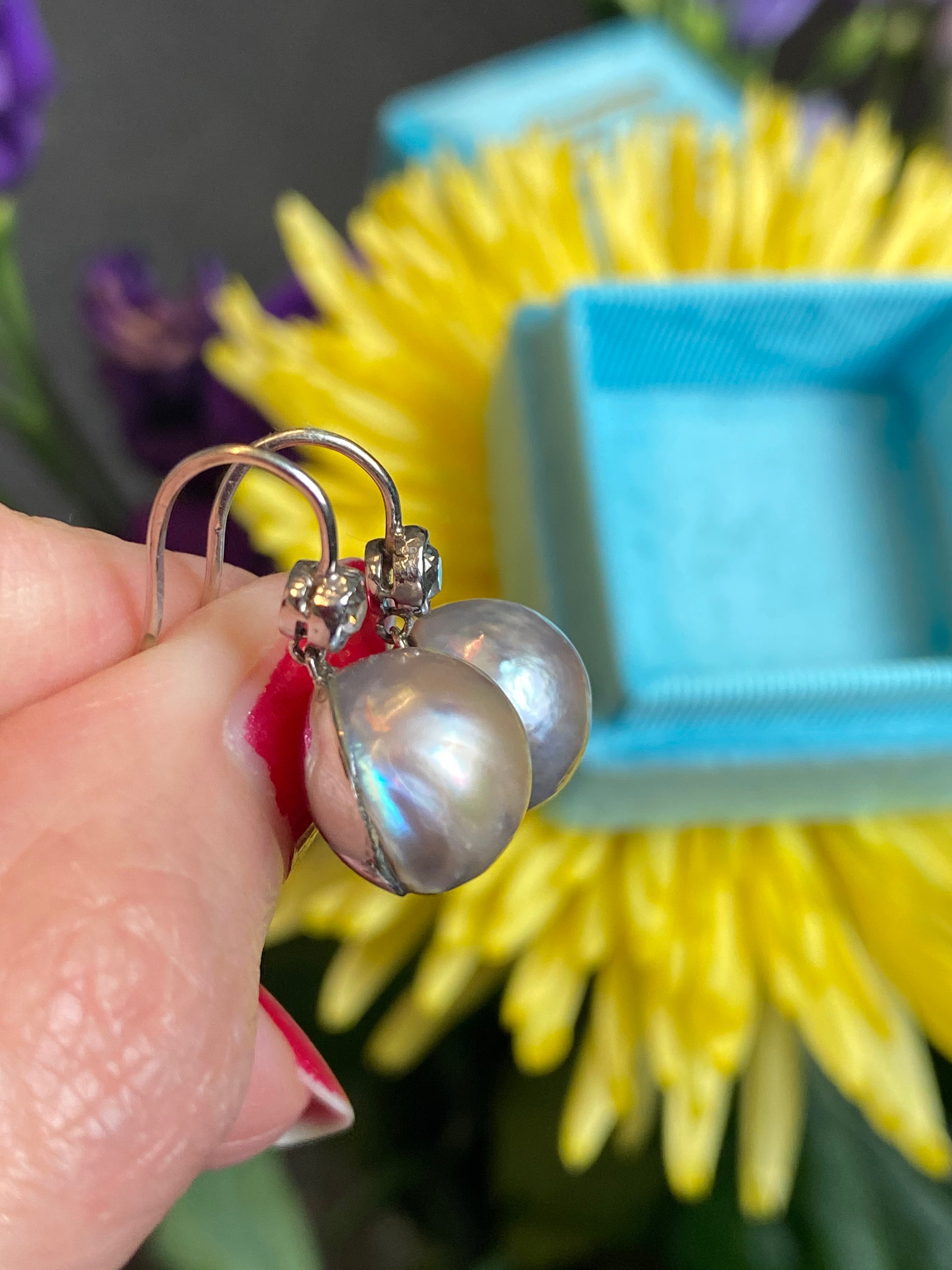 Old cut Diamond and pearl drop earrings in White gold 
