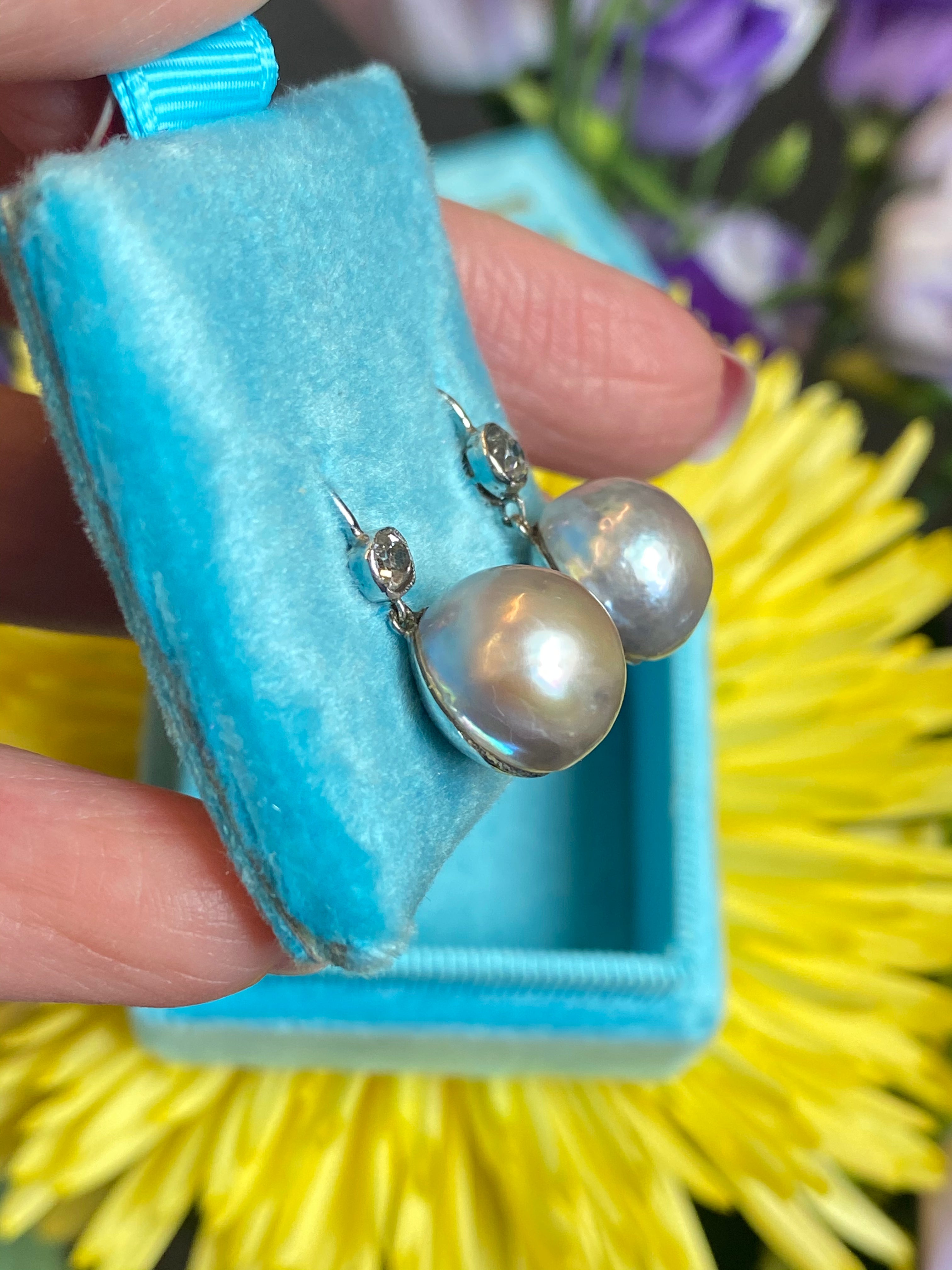 Old cut Diamond and pearl drop earrings in White gold 