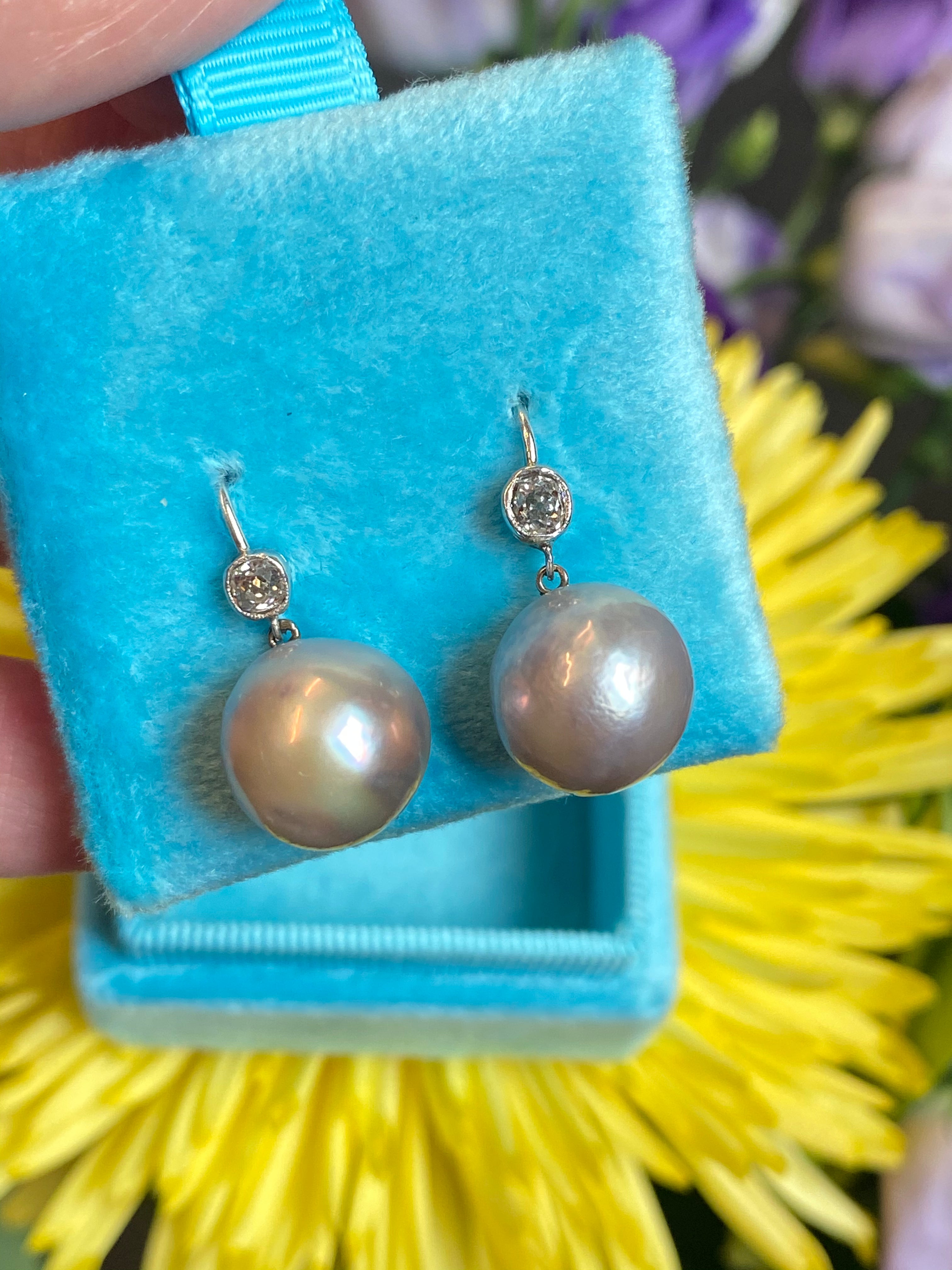 Old cut Diamond and pearl drop earrings in White gold 
