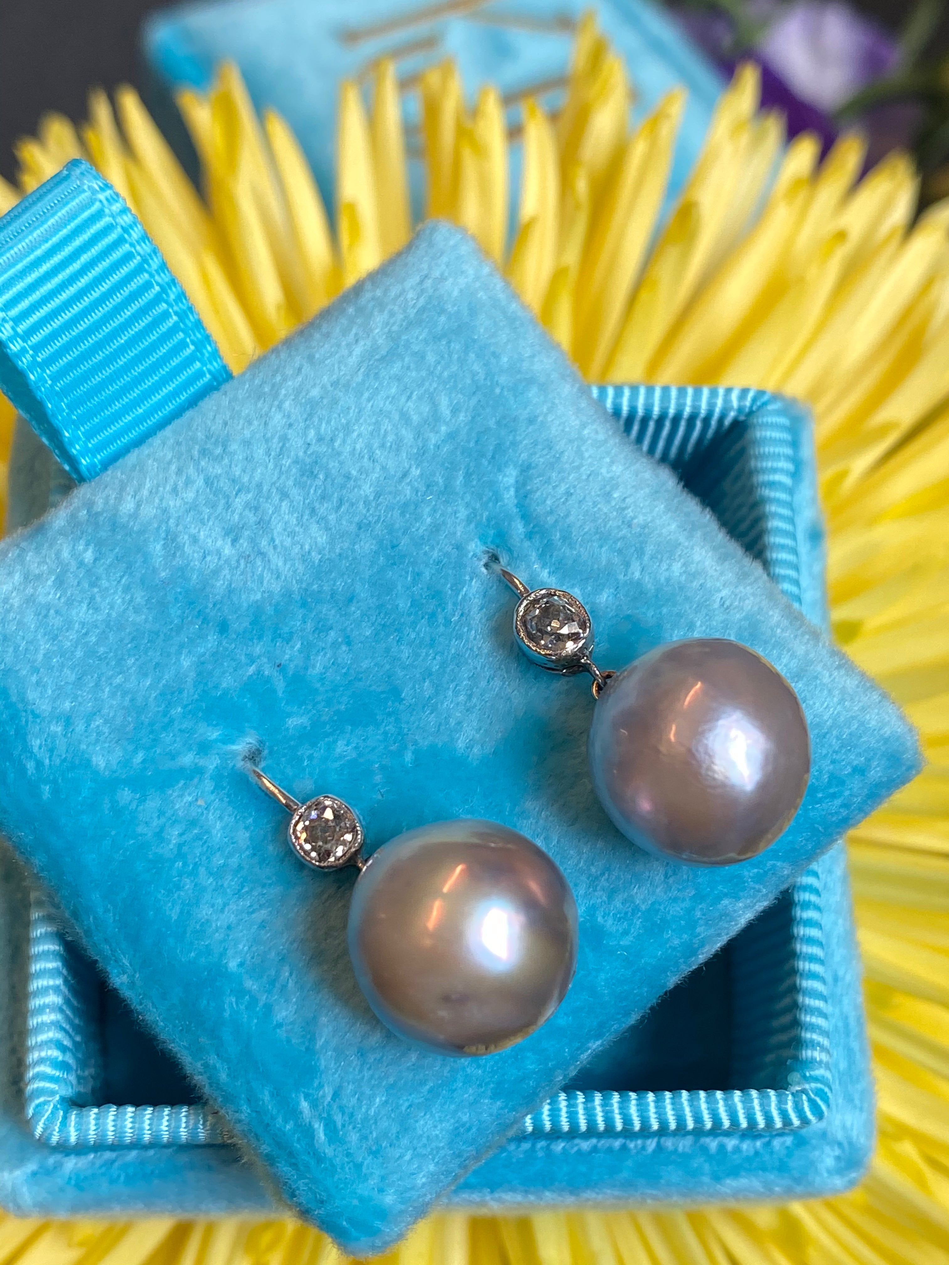 Old cut Diamond and pearl drop earrings in White gold 